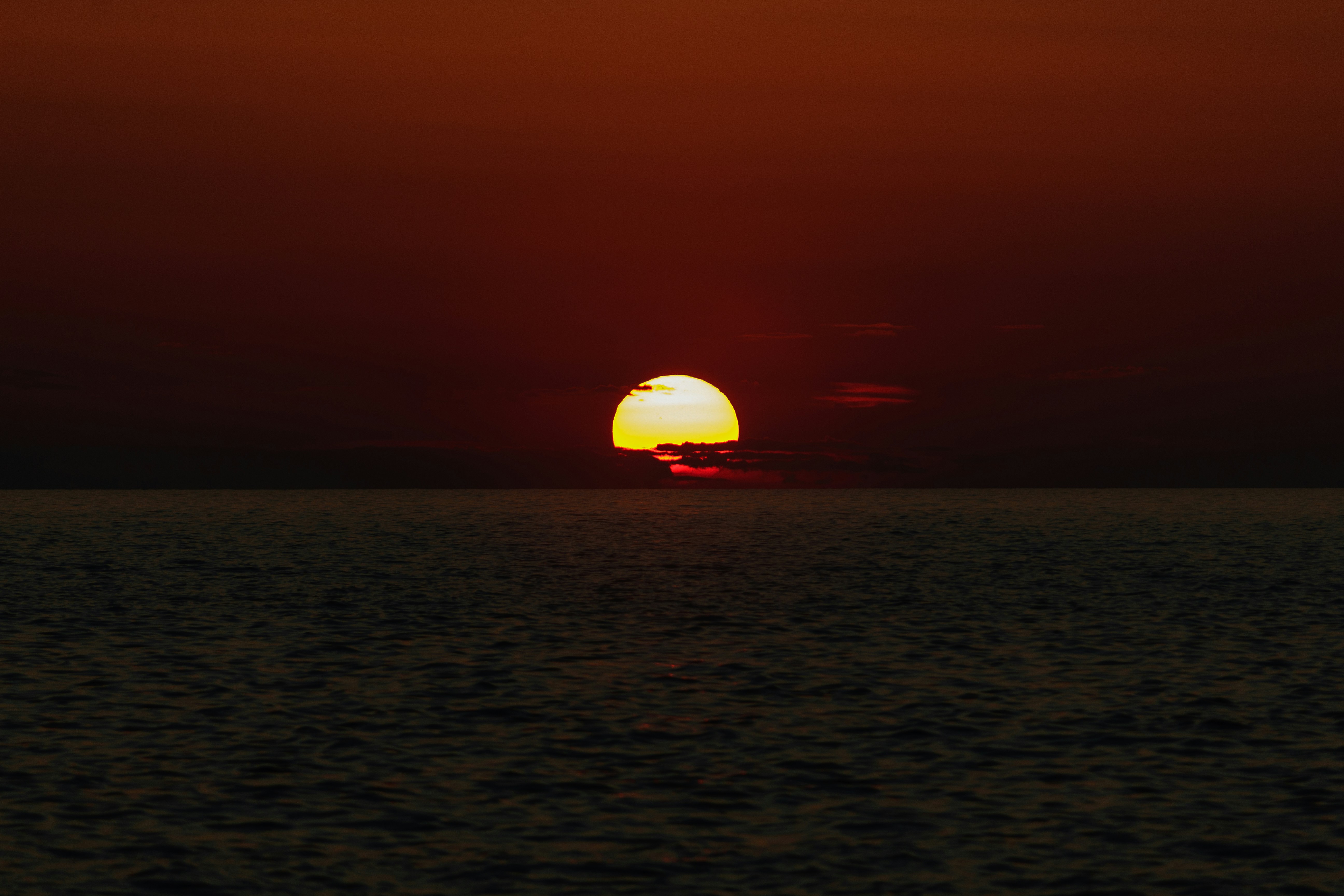 Photo by sporisevicphotography