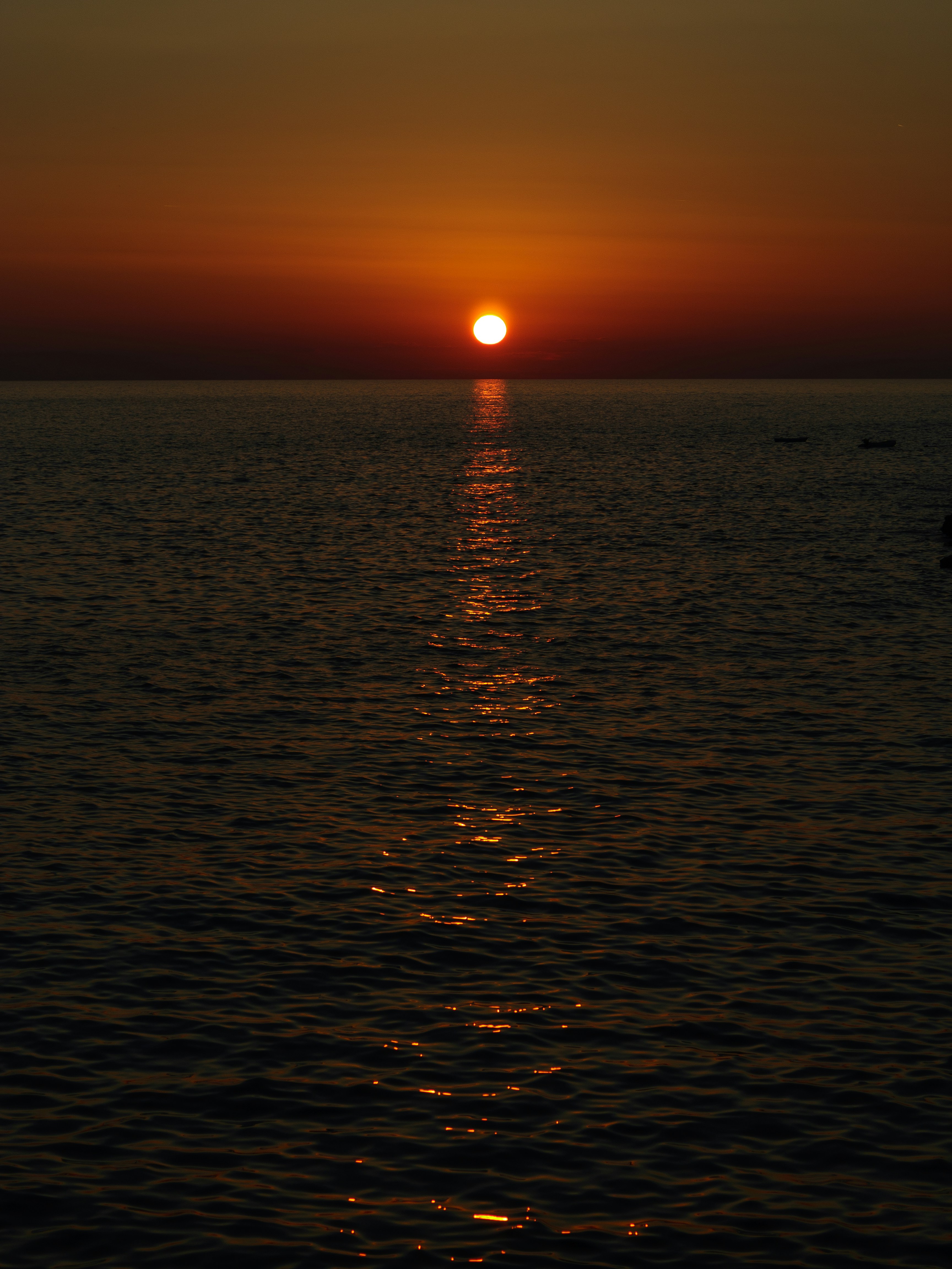 Photo by sporisevicphotography