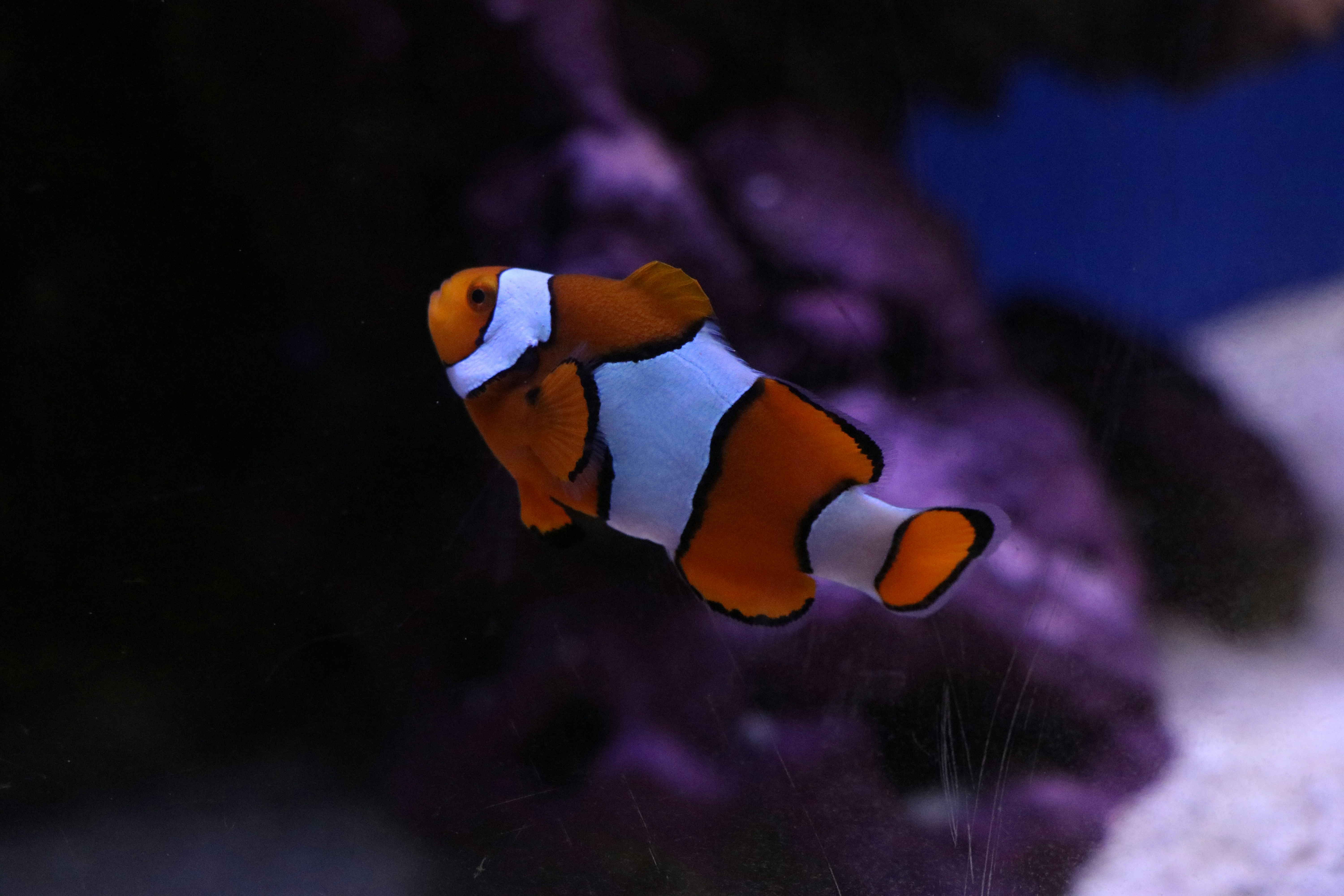 Photo by jacqueline_flock