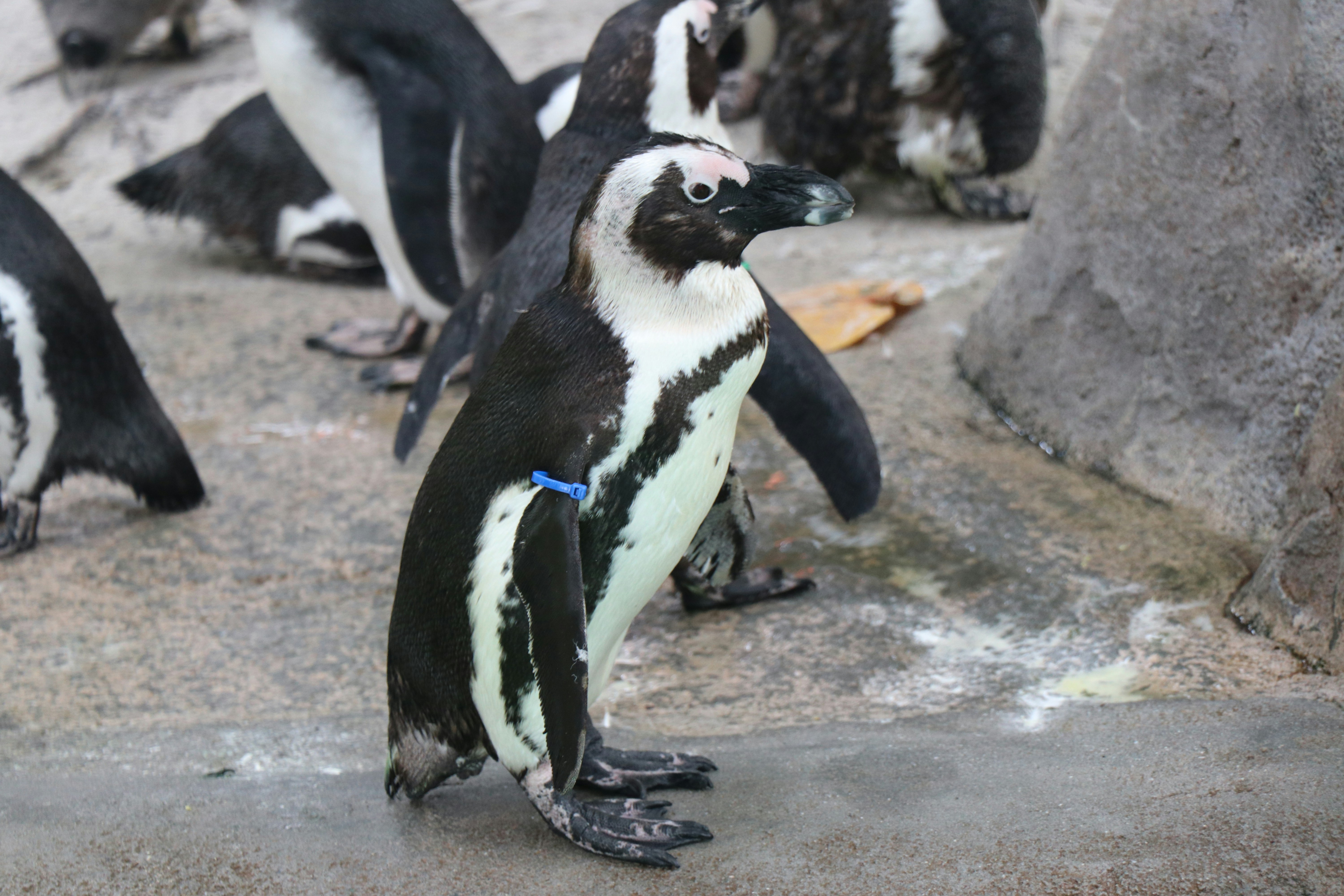 Photo by jacqueline_flock