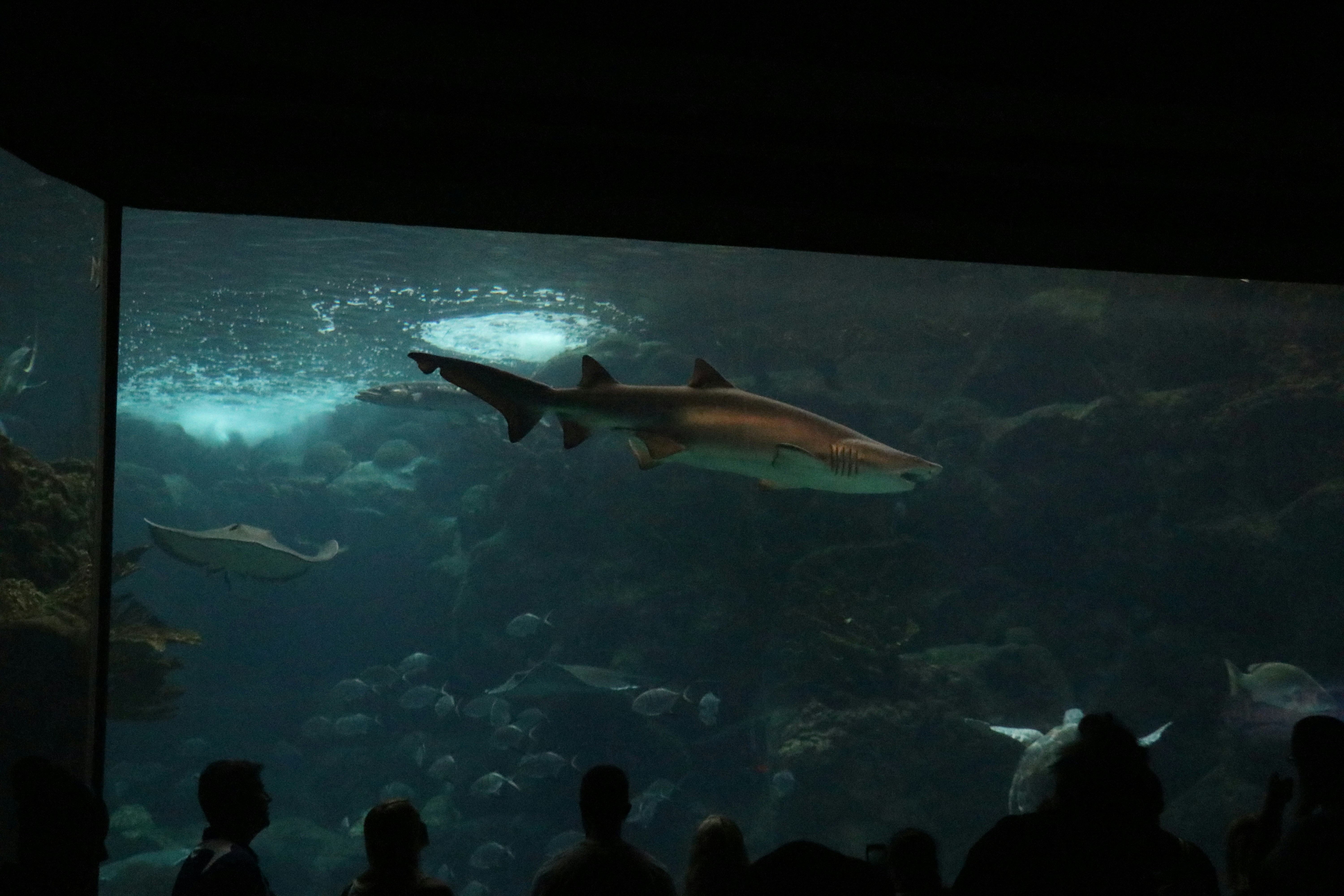 Photo by jacqueline_flock