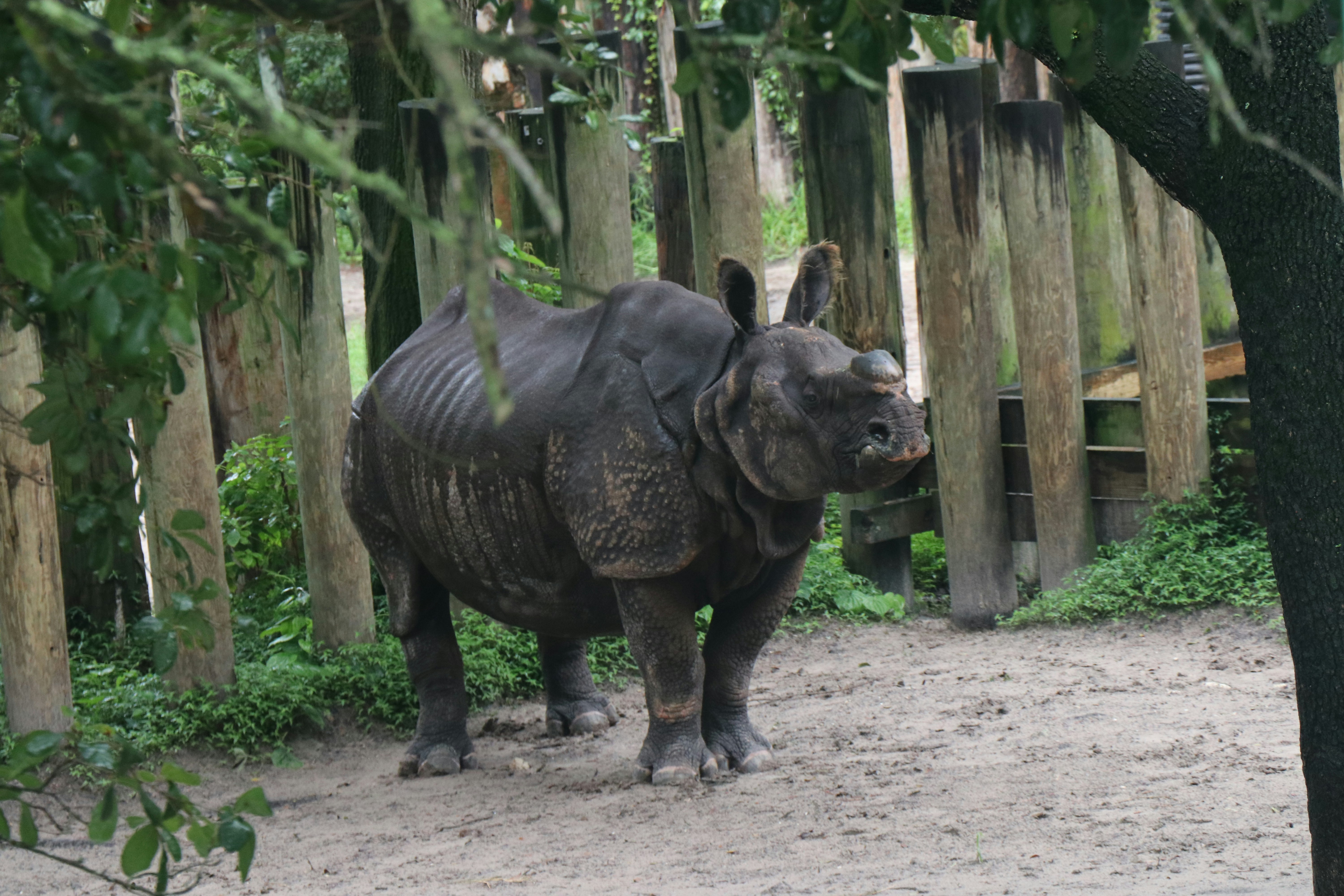 Photo by jacqueline_flock