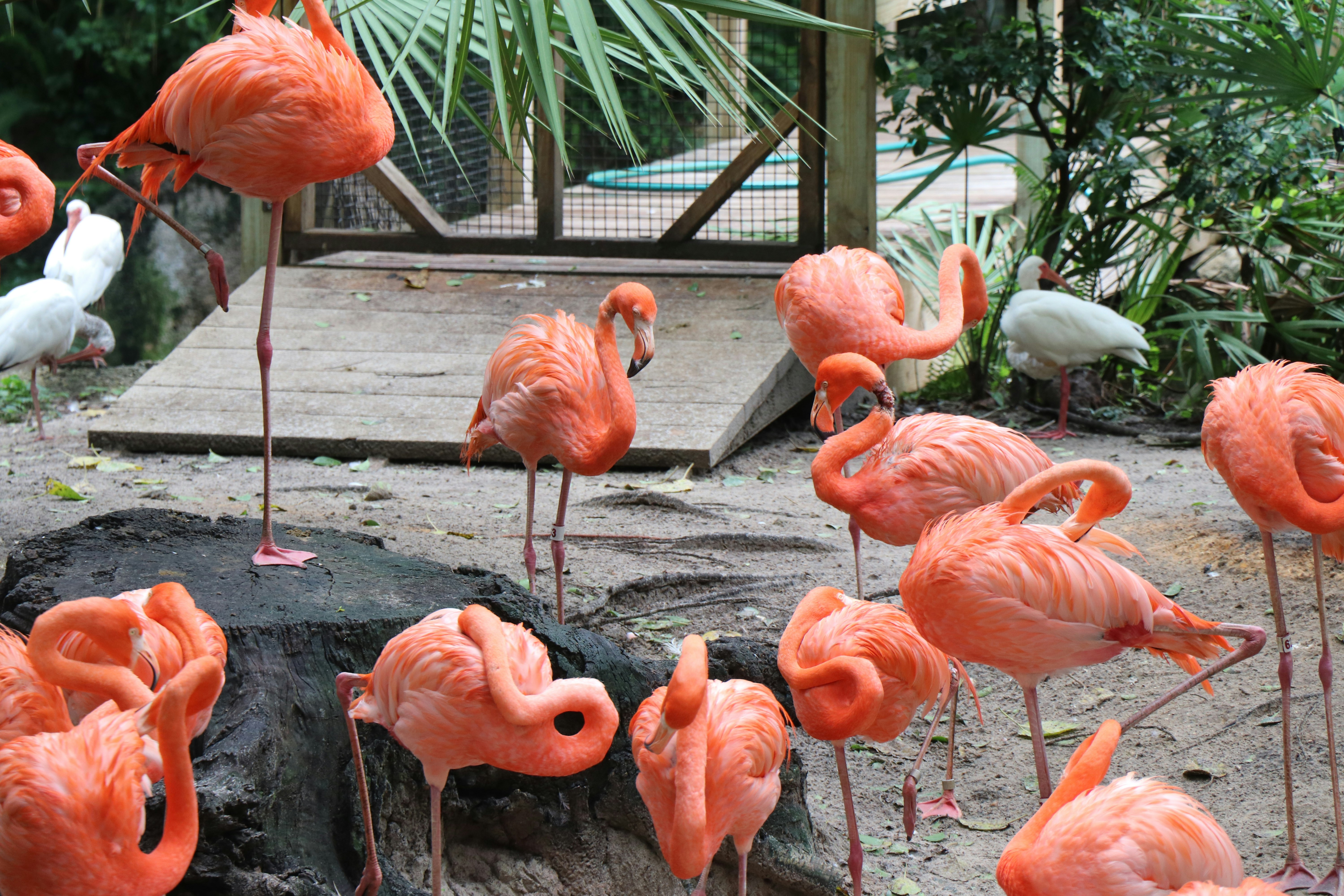 Photo by jacqueline_flock