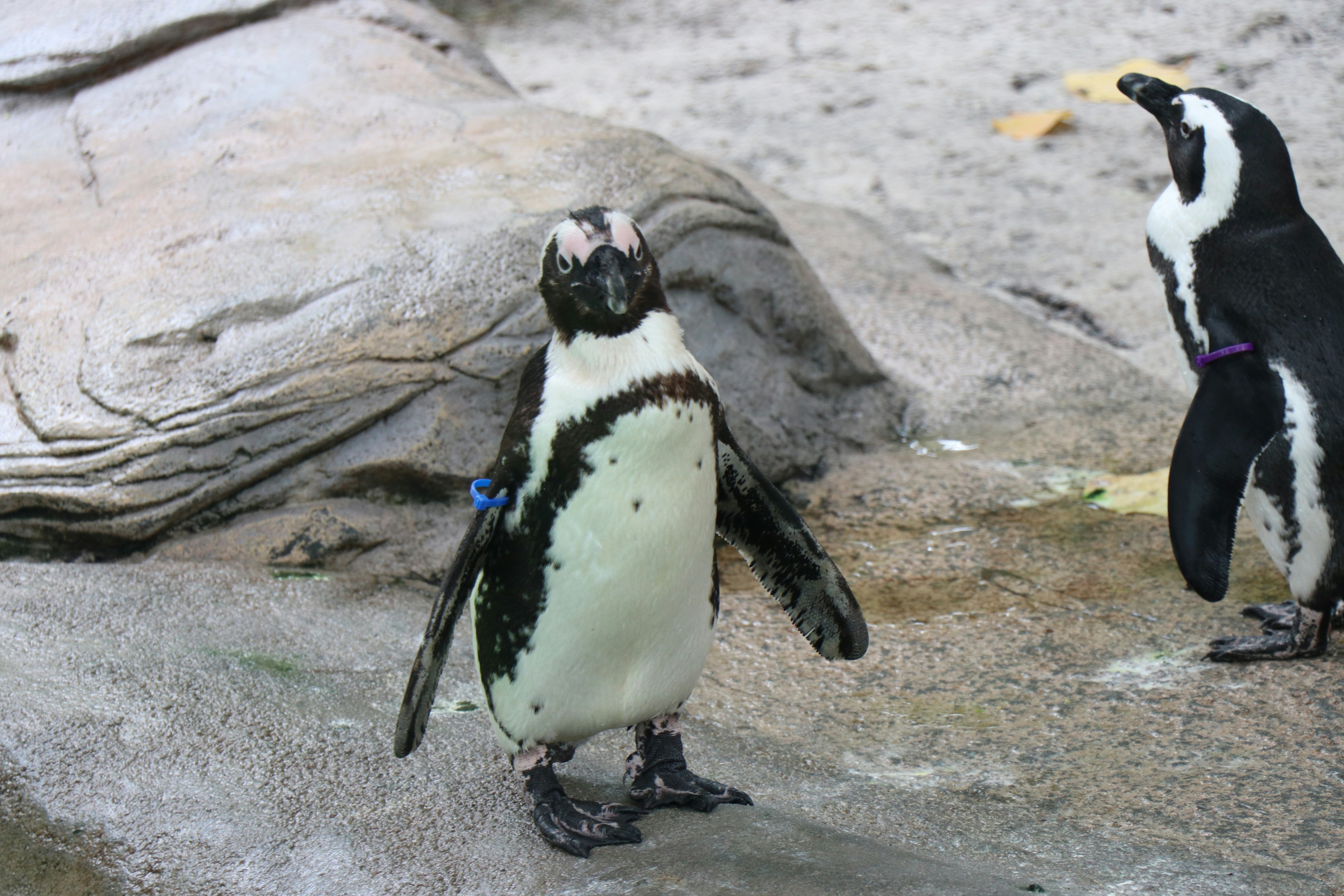 Photo by jacqueline_flock