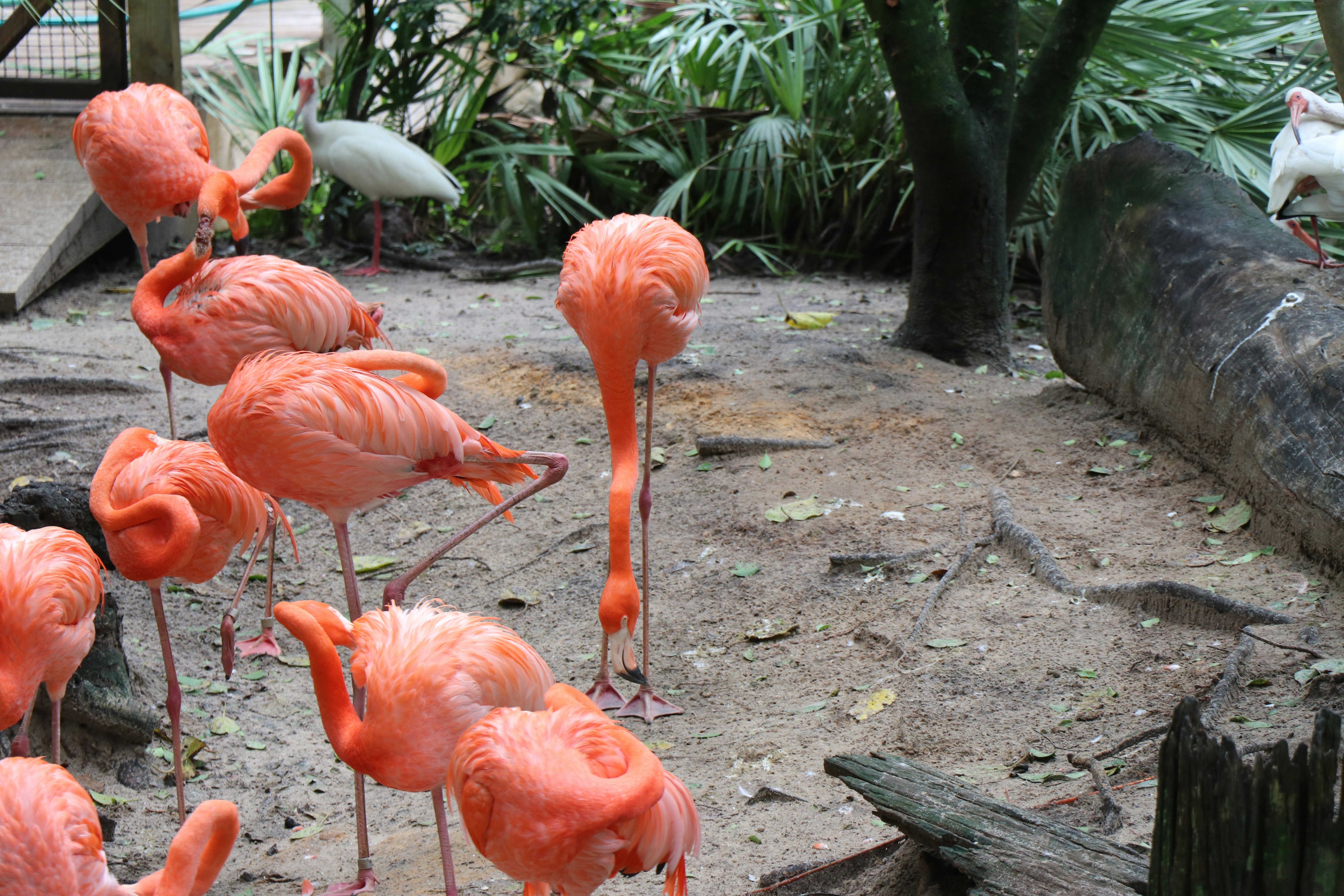 Photo by jacqueline_flock