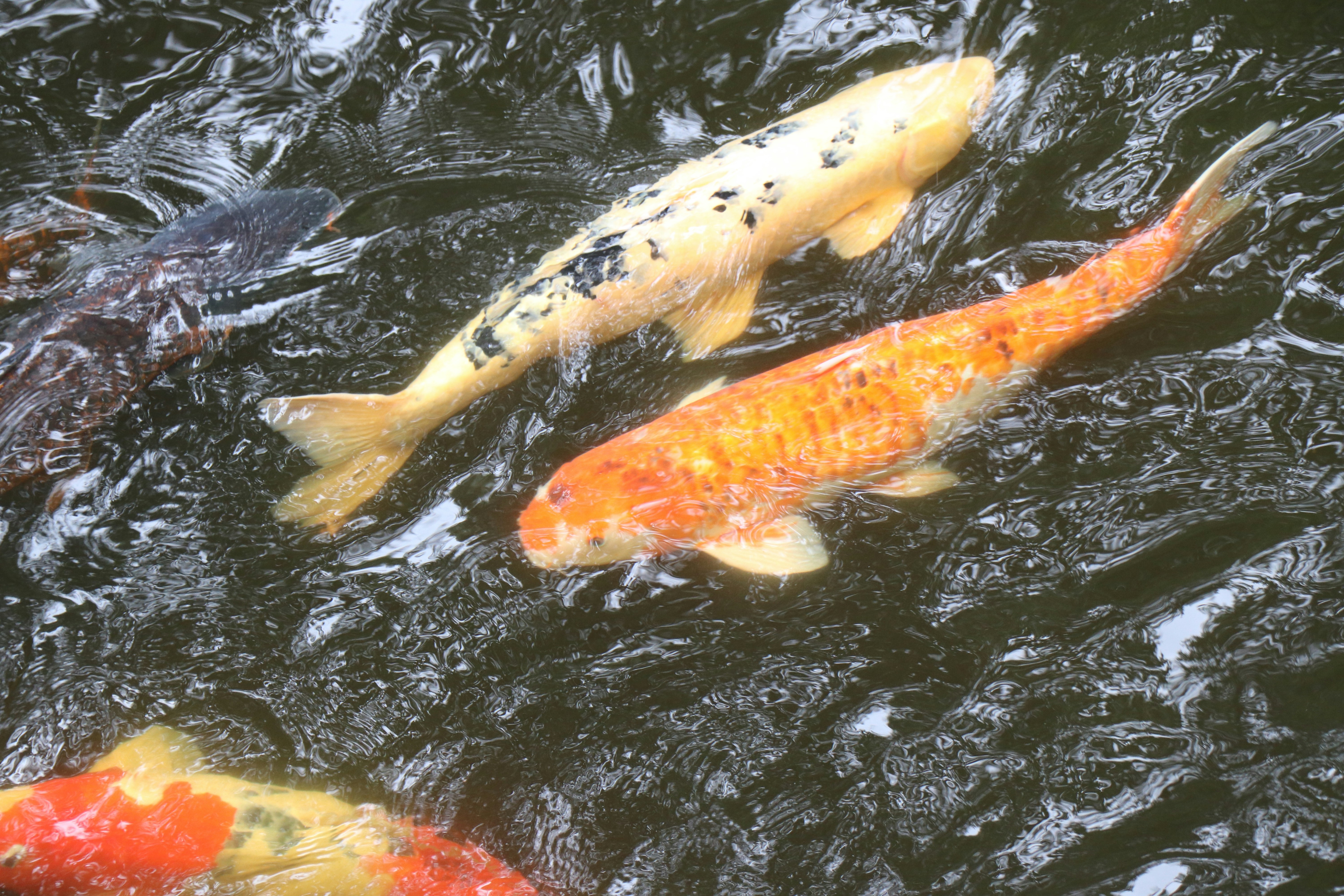 Photo by jacqueline_flock