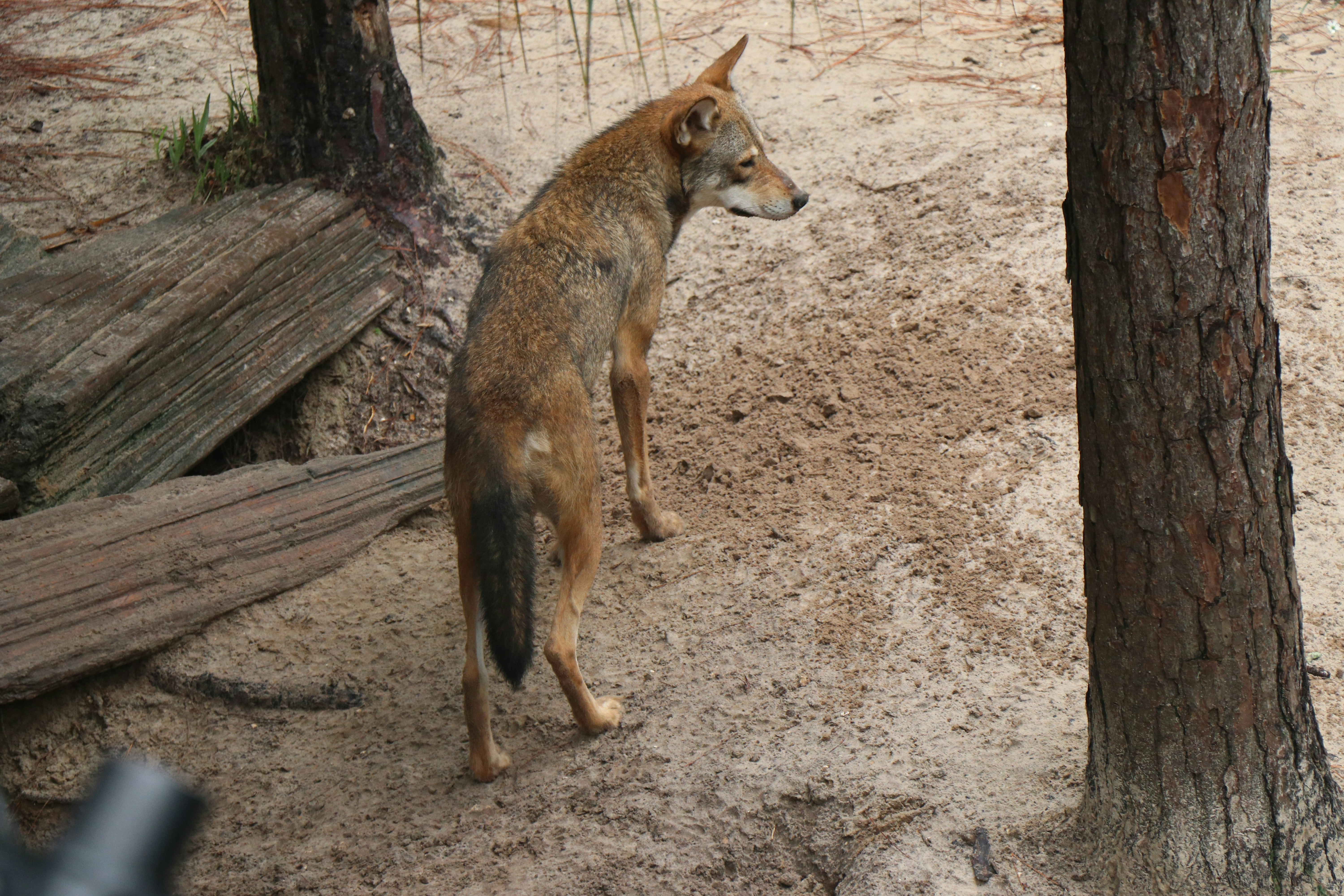 Photo by jacqueline_flock