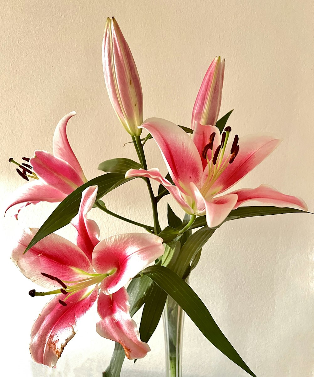 a vase filled with pink flowers on top of a table