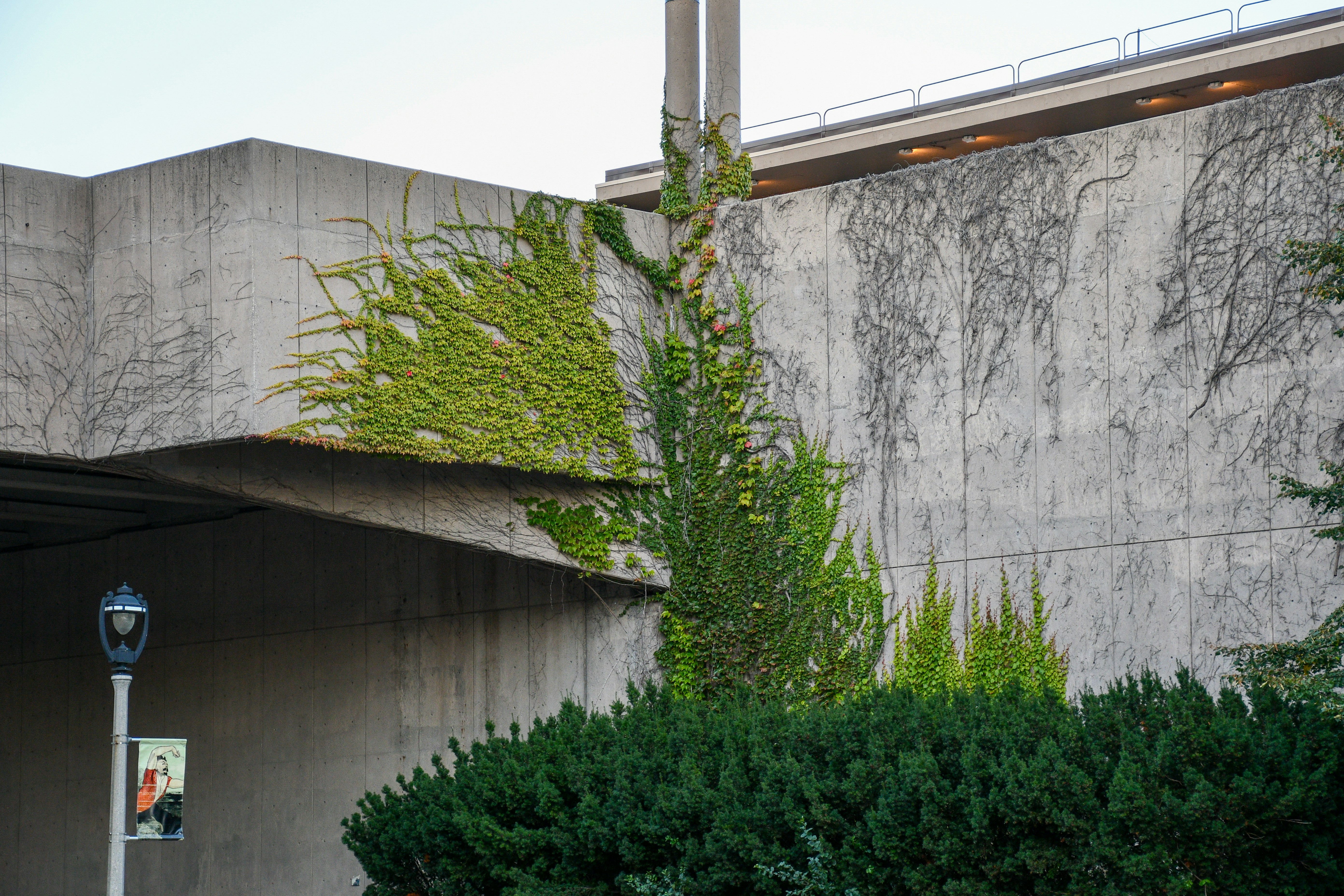 Photo by clovegrove7