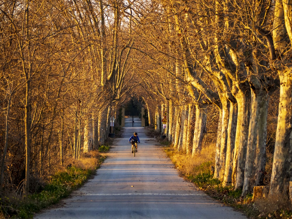 a person riding a bike down a tree lined road