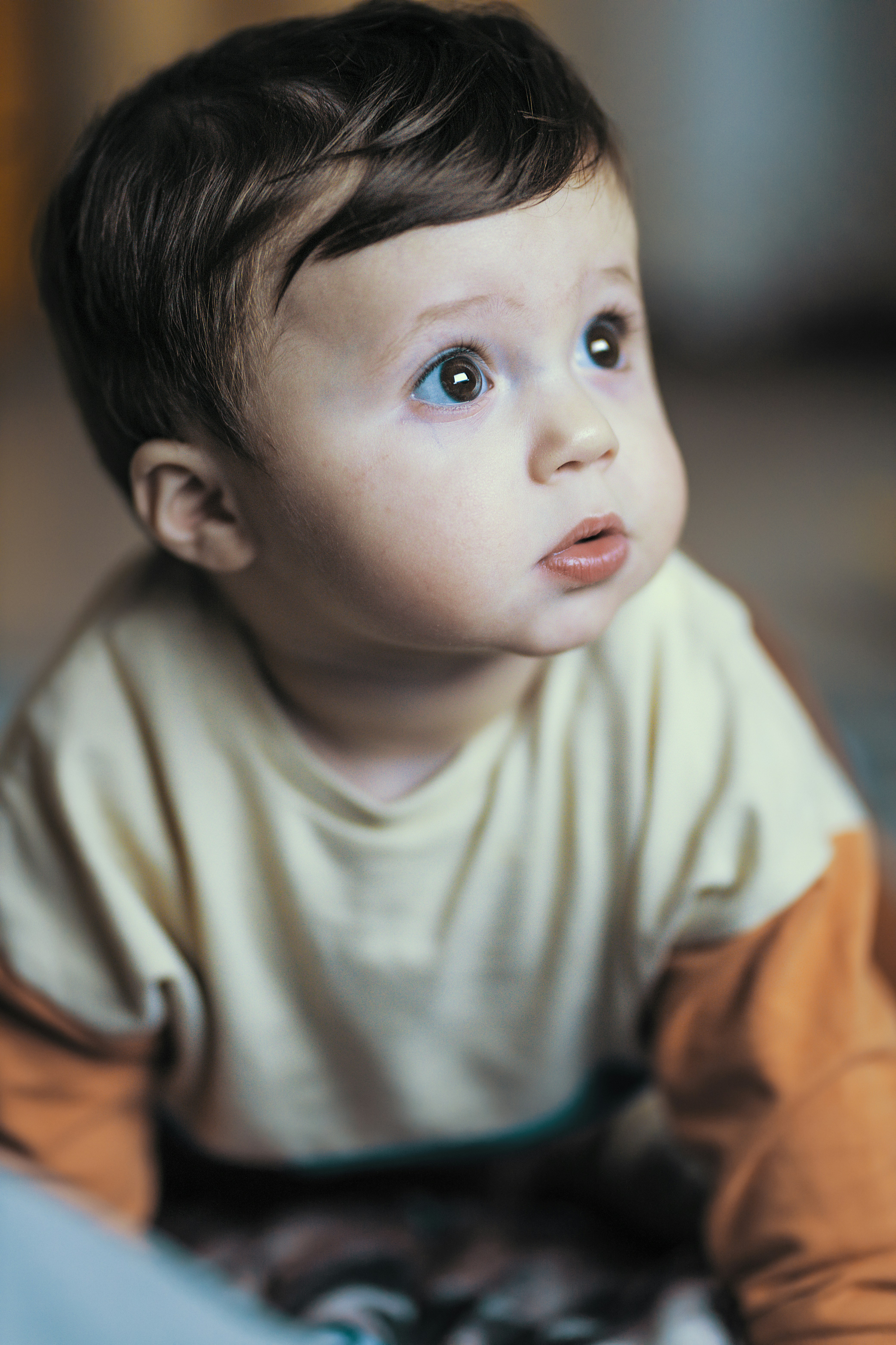 Little Boy With Light Brown Hair