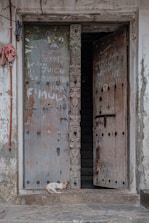 A weathered wooden door with intricate carvings and graffiti, partially open, revealing a dark interior space. A small cat with a white and orange coat is lounging on the stone doorstep. The surrounding walls are worn and slightly cracked, with some exposed wiring and a pink cloth hanging on the left side.