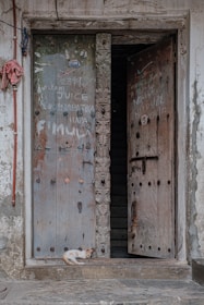 A weathered wooden door with intricate carvings and graffiti, partially open, revealing a dark interior space. A small cat with a white and orange coat is lounging on the stone doorstep. The surrounding walls are worn and slightly cracked, with some exposed wiring and a pink cloth hanging on the left side.