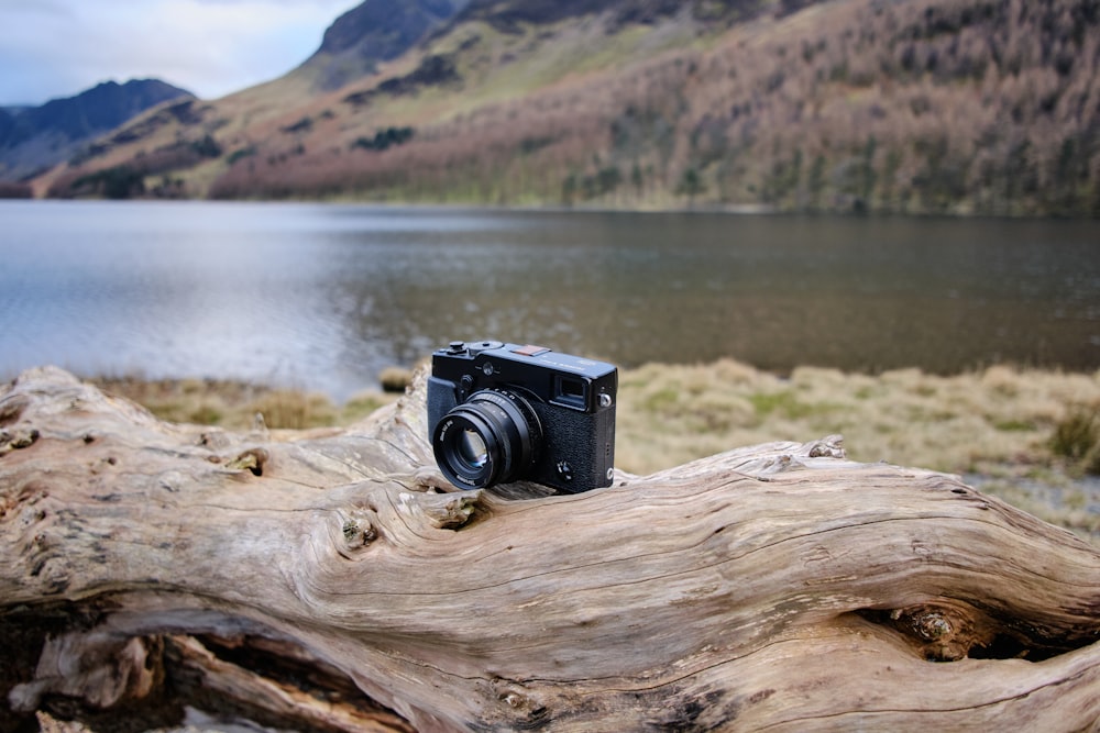 a camera sitting on top of a tree branch next to a lake