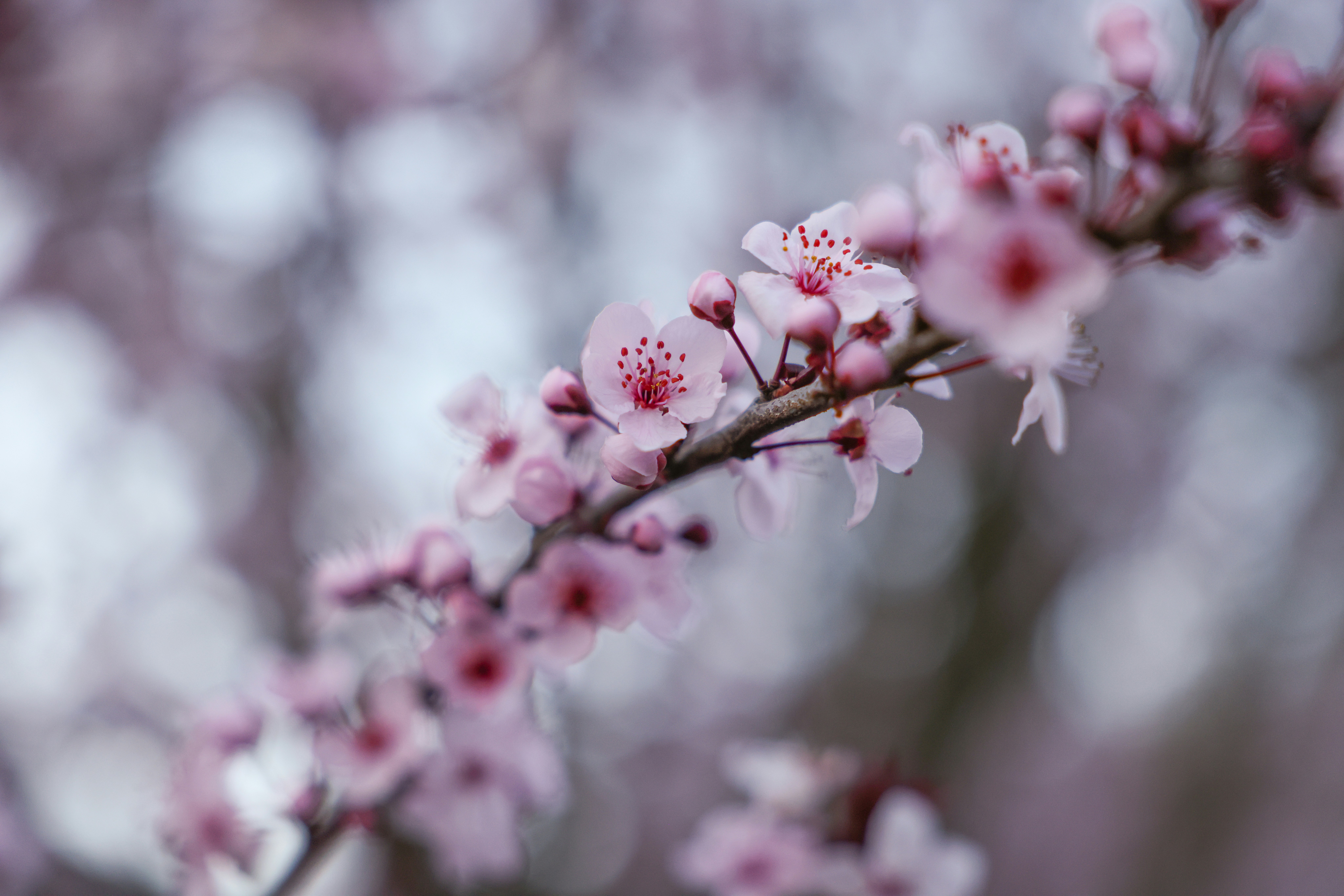 Photo by johanna_m_jordan_photography