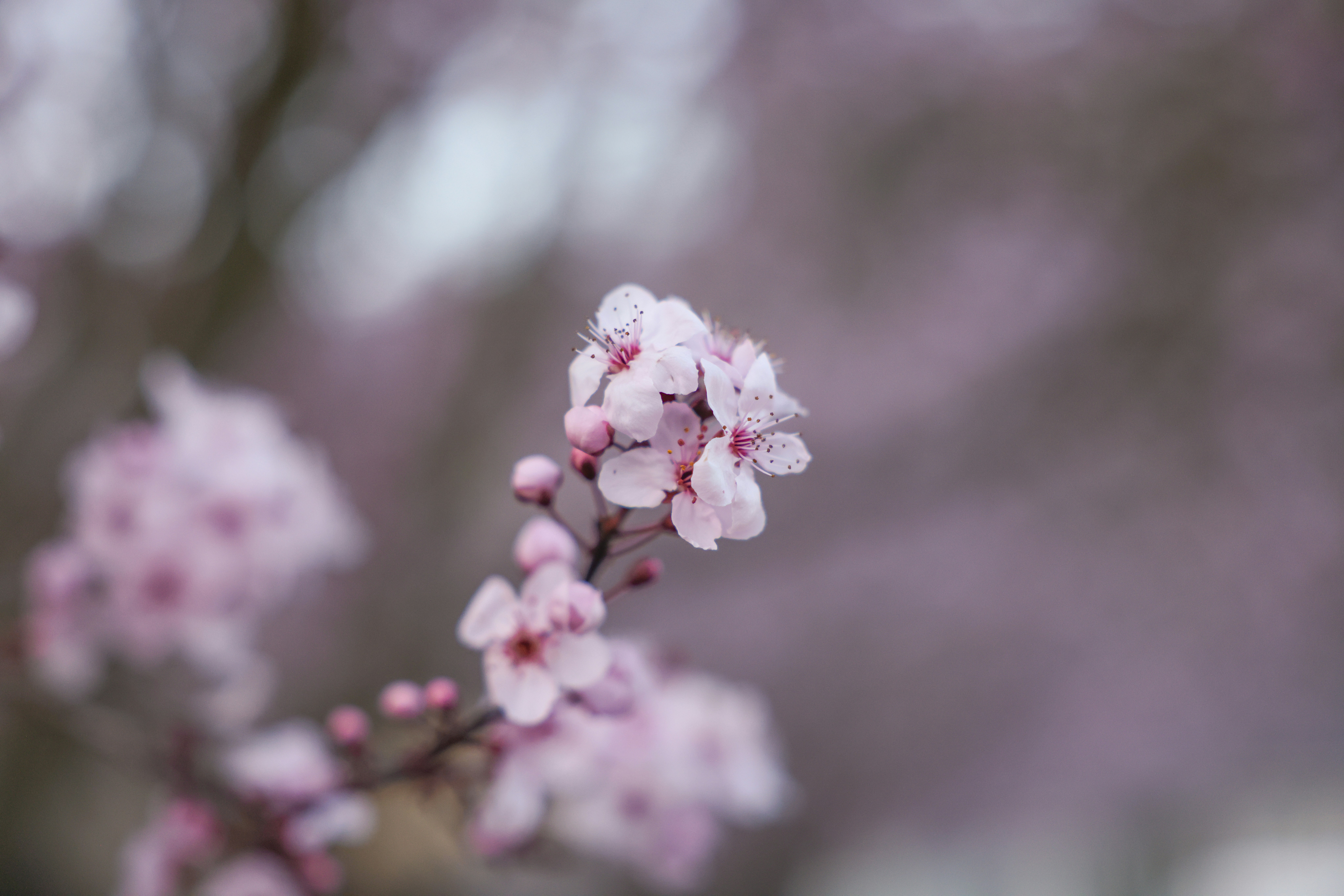 Photo by johanna_m_jordan_photography