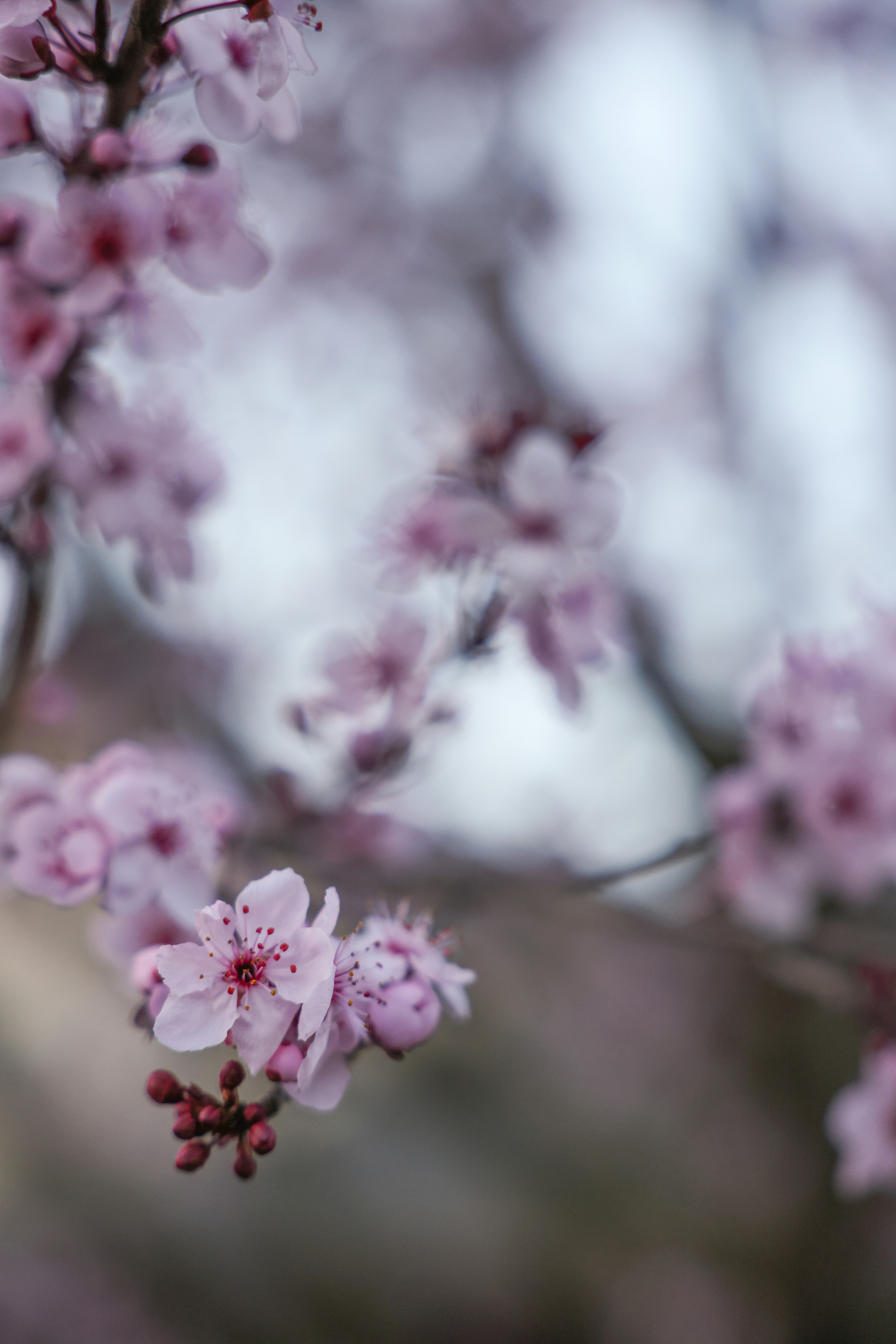 Photo by johanna_m_jordan_photography