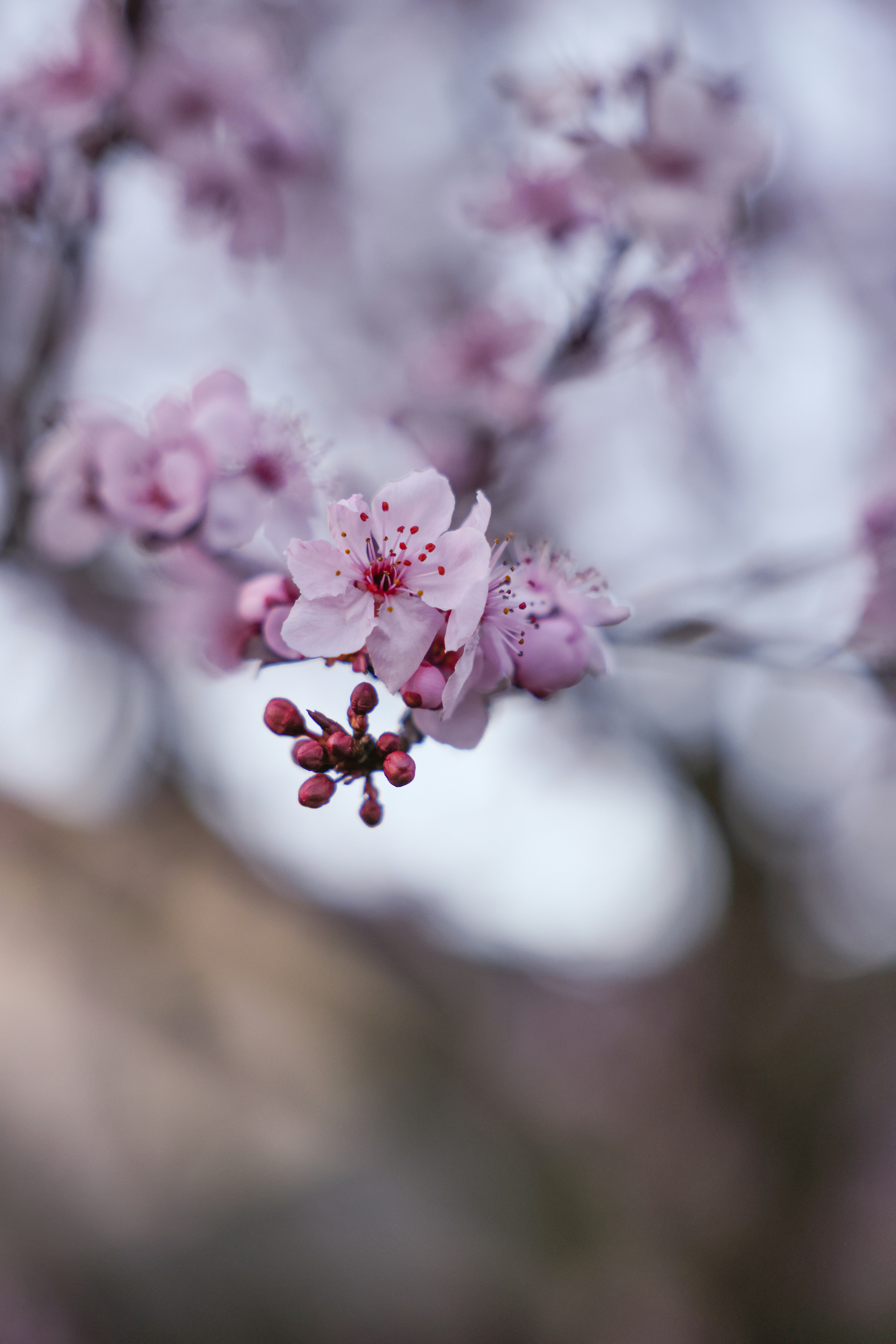 Photo by johanna_m_jordan_photography