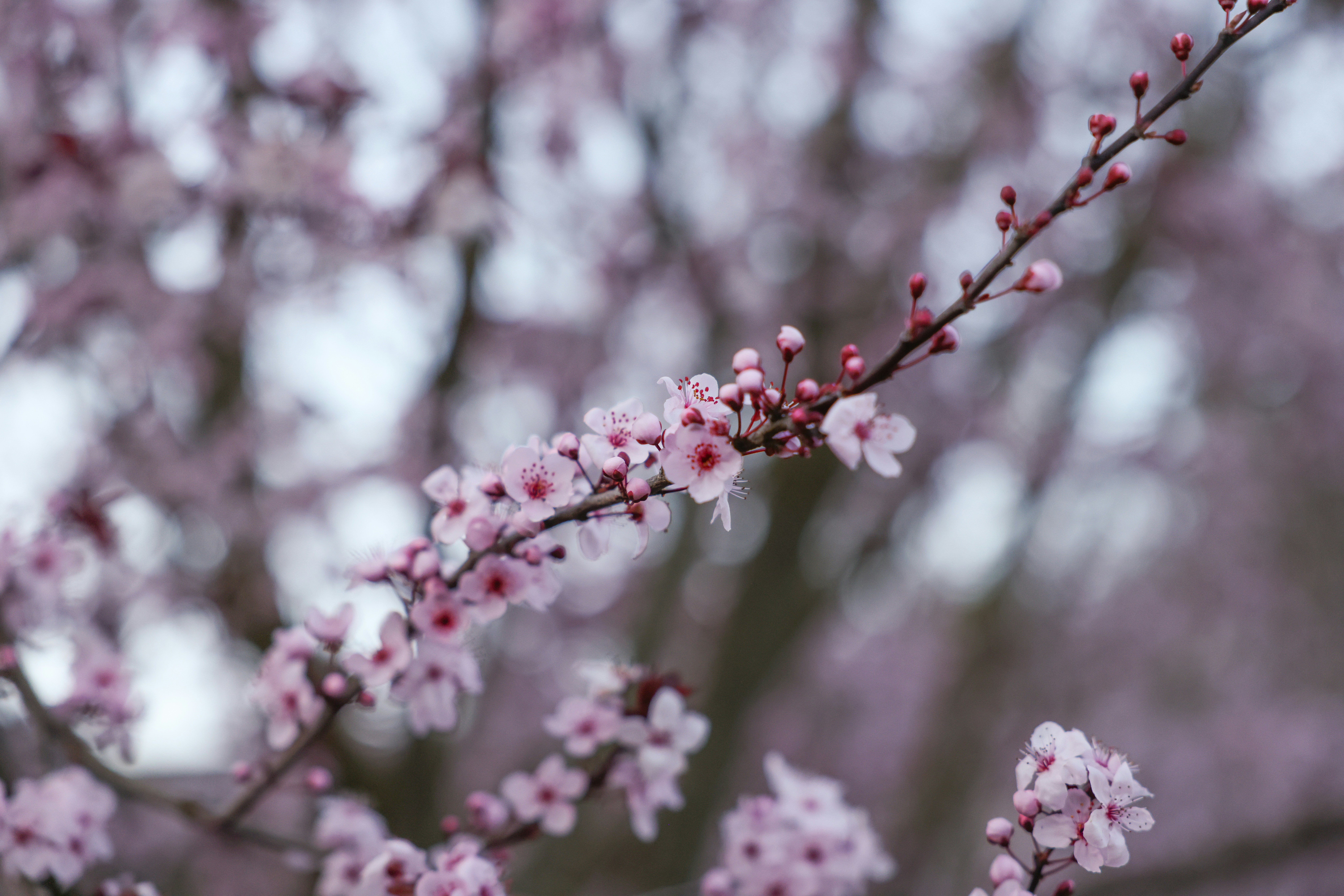 Photo by johanna_m_jordan_photography