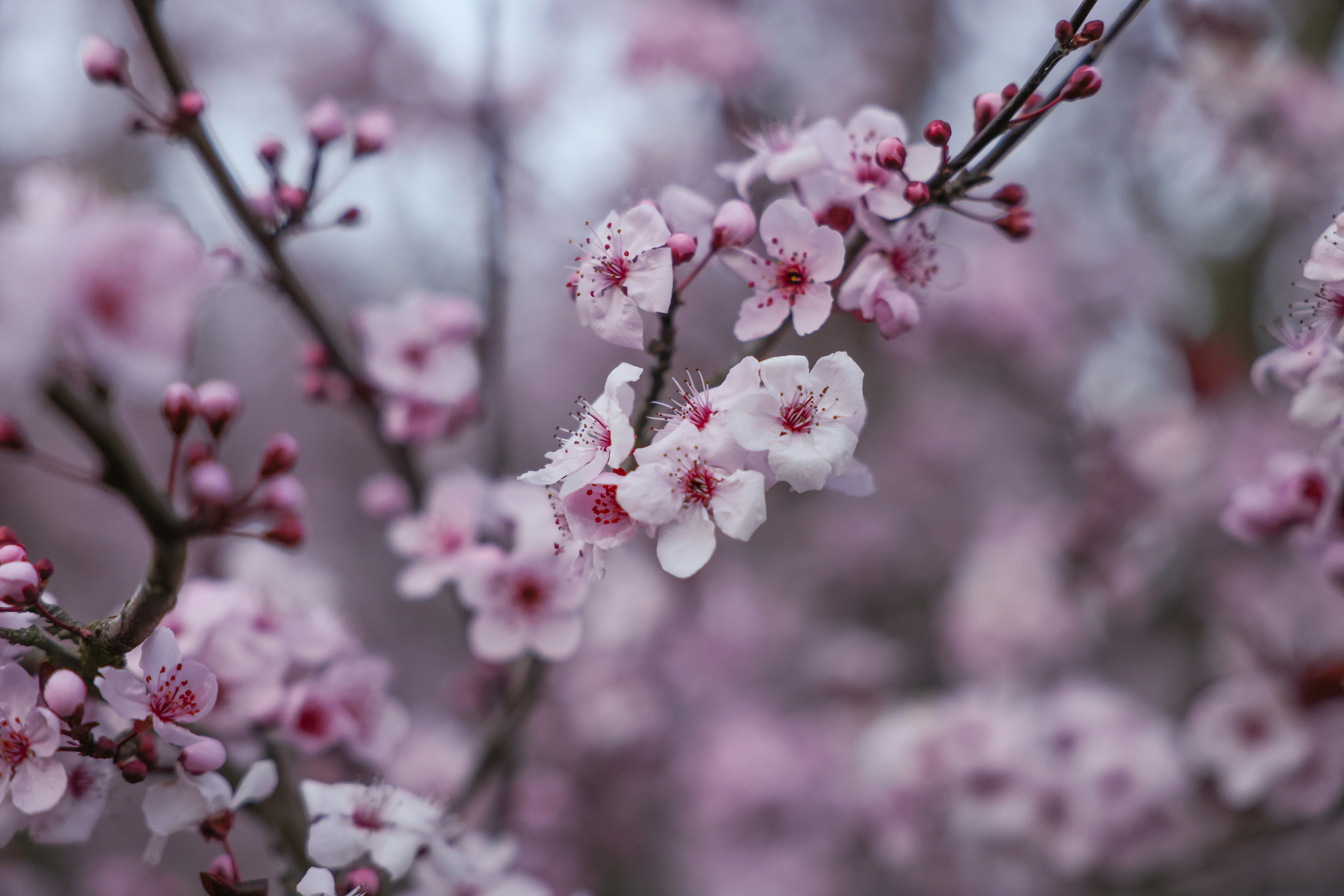 Photo by johanna_m_jordan_photography