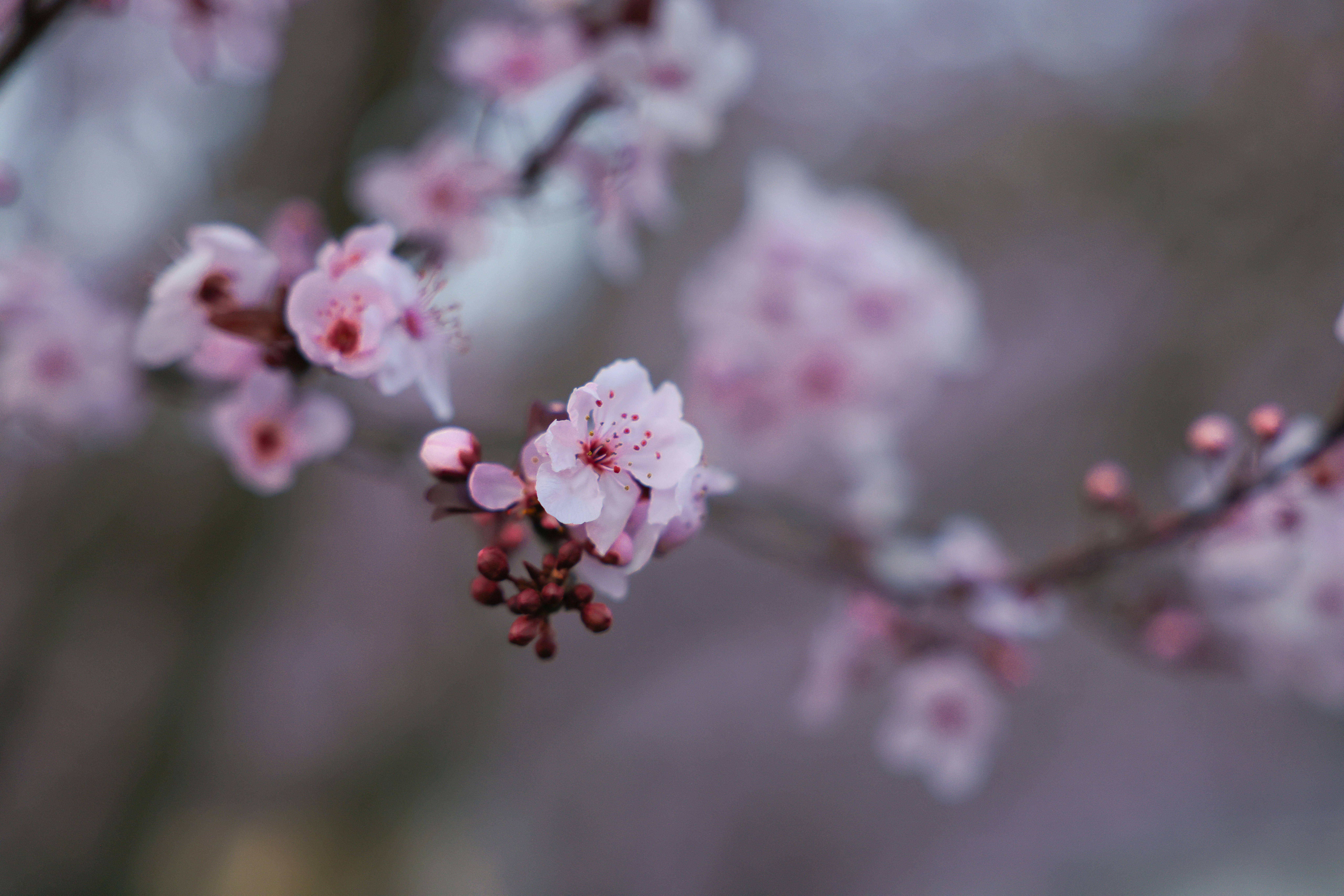 Photo by johanna_m_jordan_photography