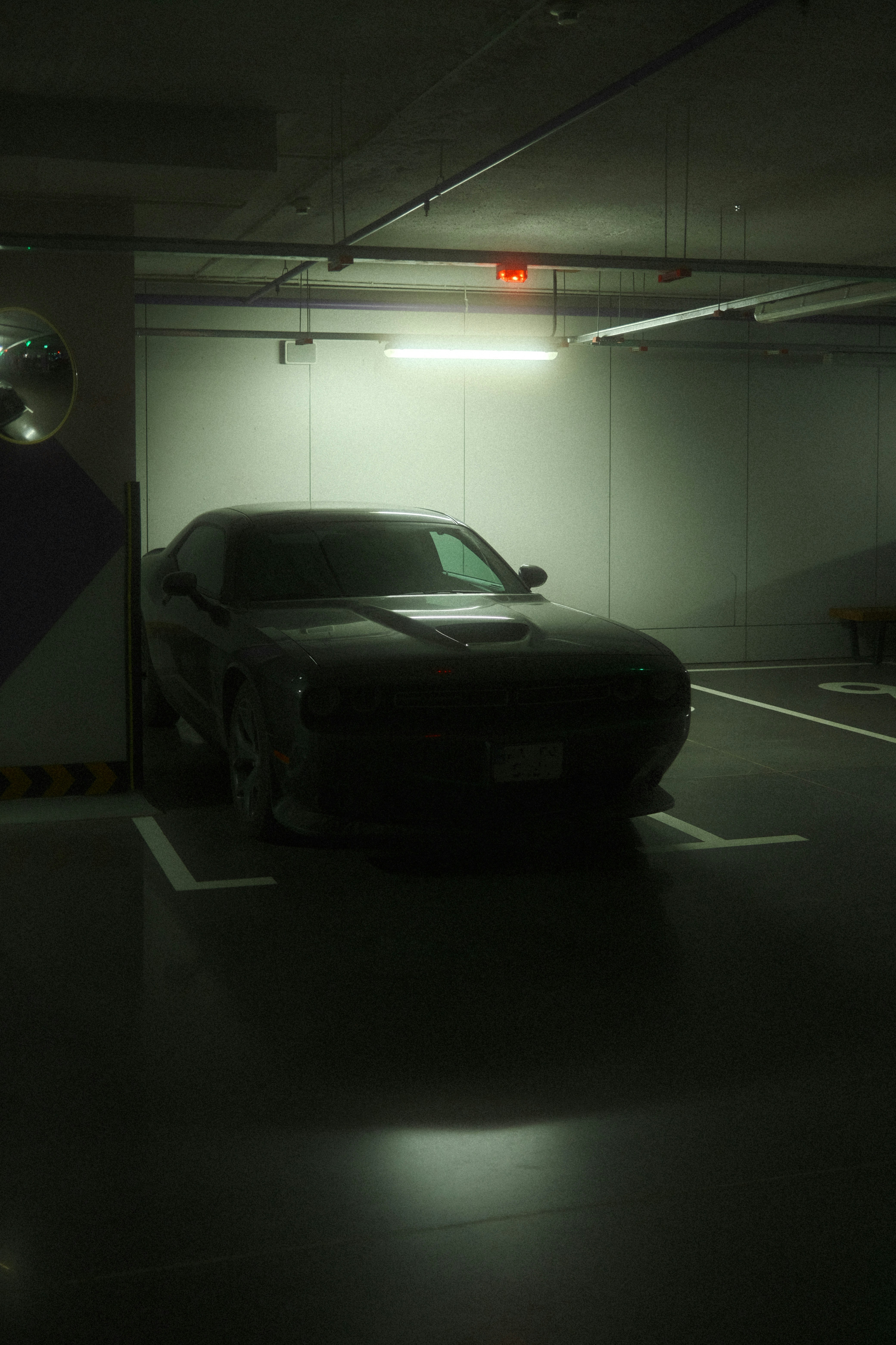 Photo by wonderland8