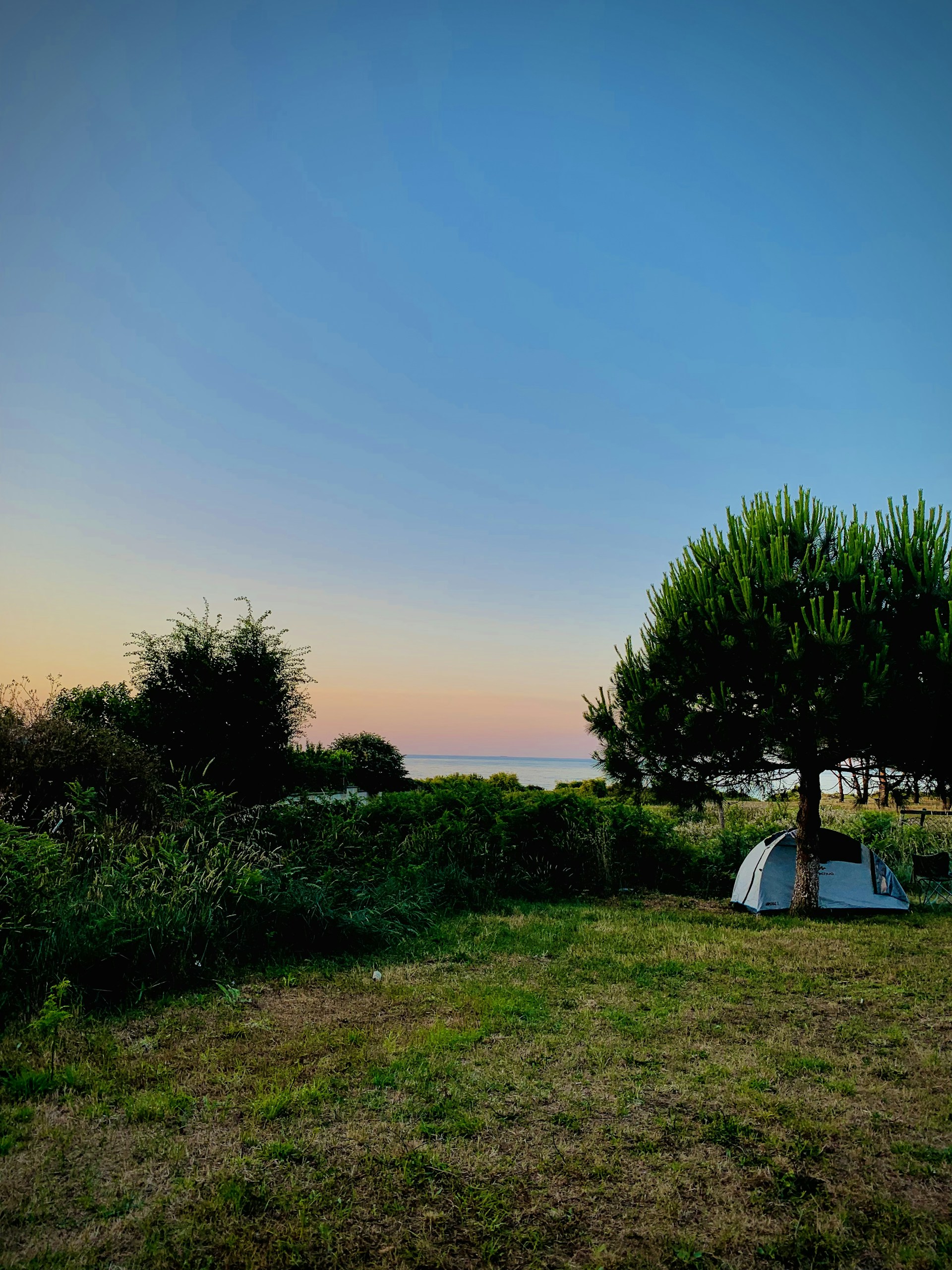 A peaceful evening scene showing tents nestled among lush greenery under a pastel-colored sky.