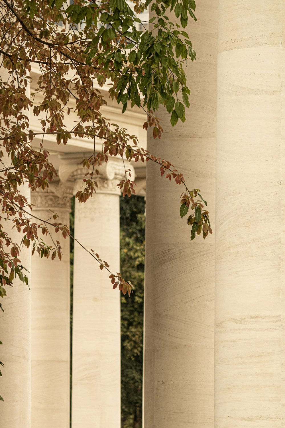 a woman sitting on a bench in front of columns