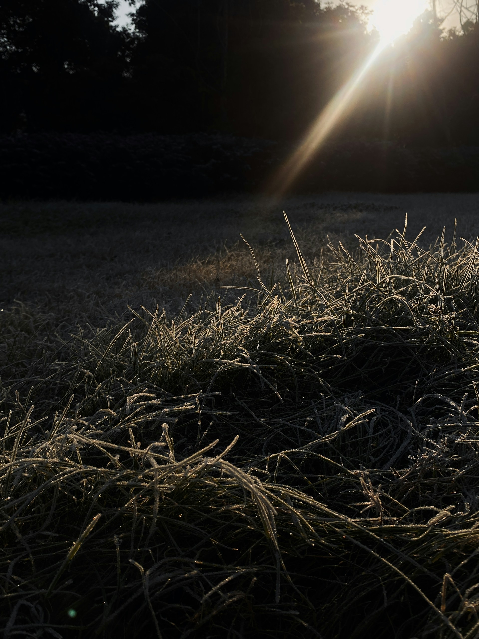 A soft morning light spilling over a quiet street, capturing the gentle stillness of a new day.