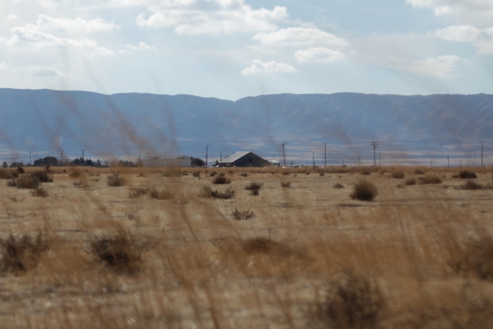 a field with mountains in the background