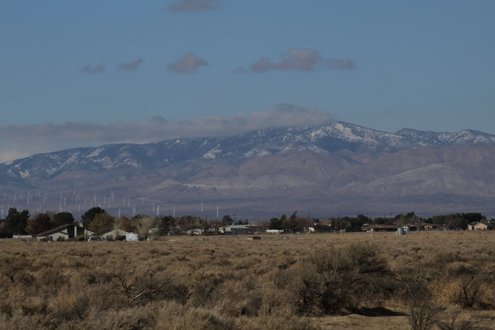 a field with a mountain in the background