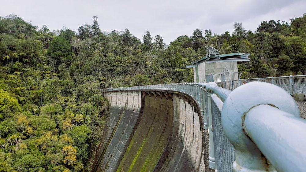 a view of a dam in the middle of a forest