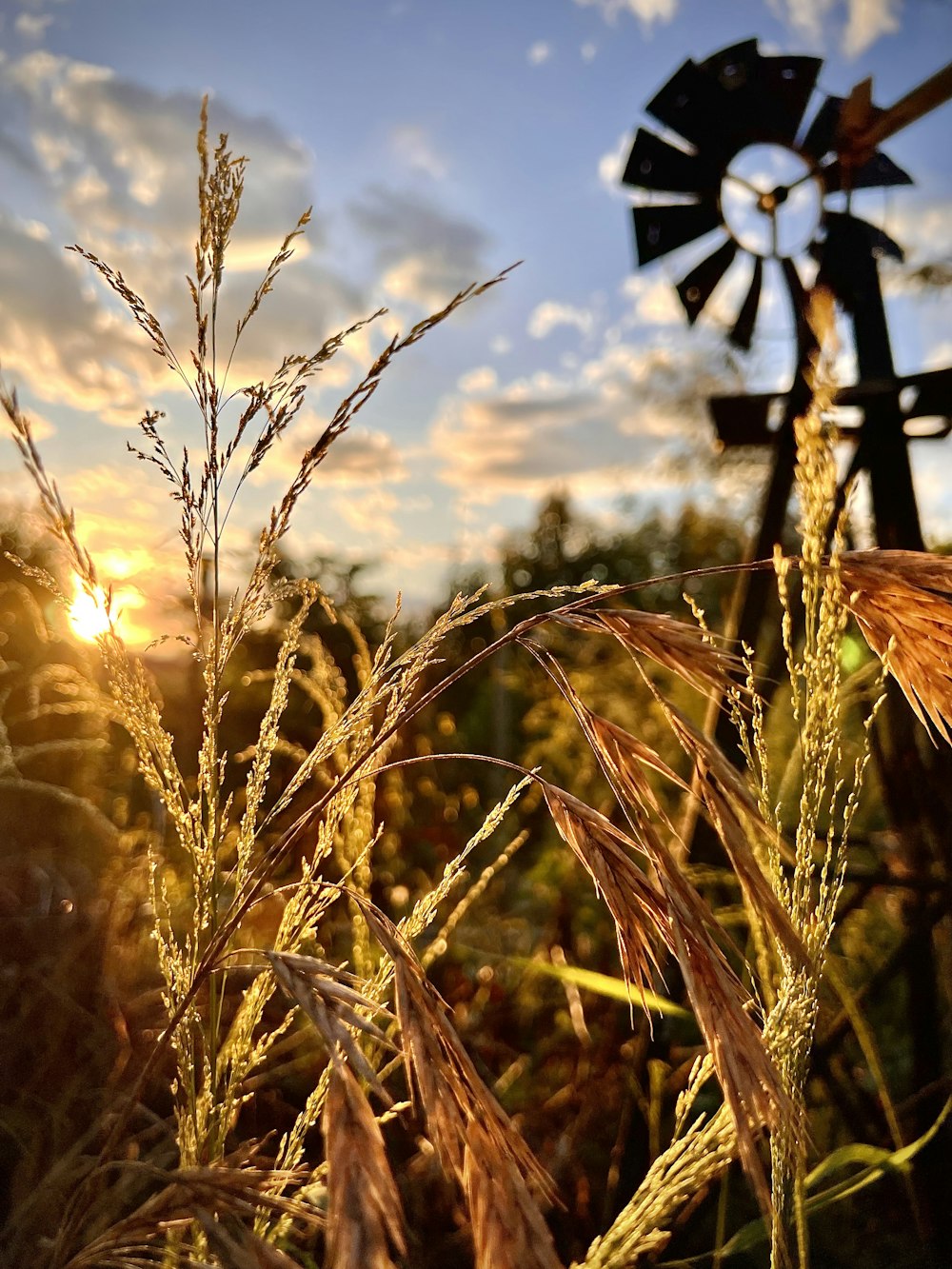 Un mulino a vento in un campo con un tramonto sullo sfondo