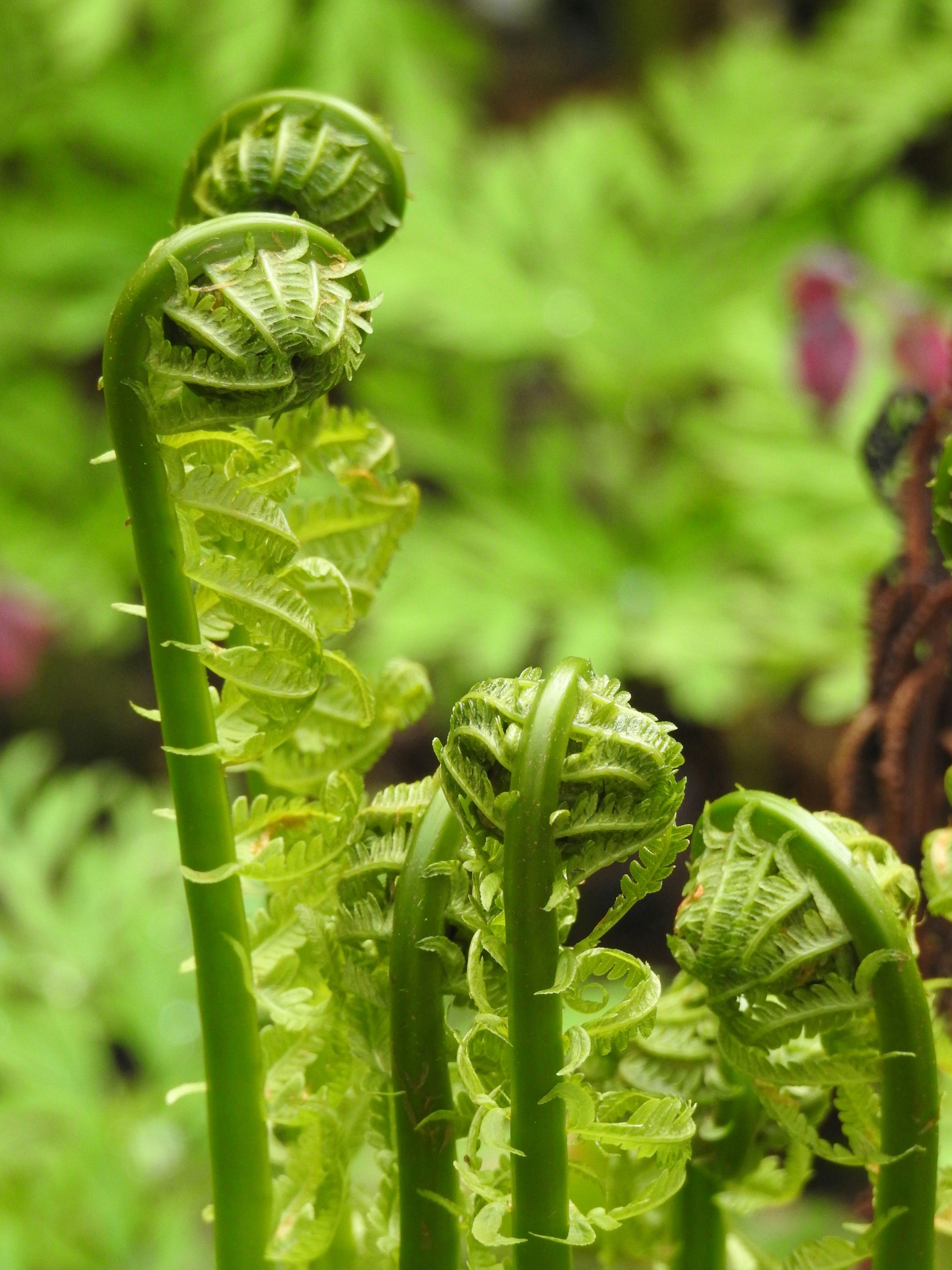 Photo by carolineashleyartist