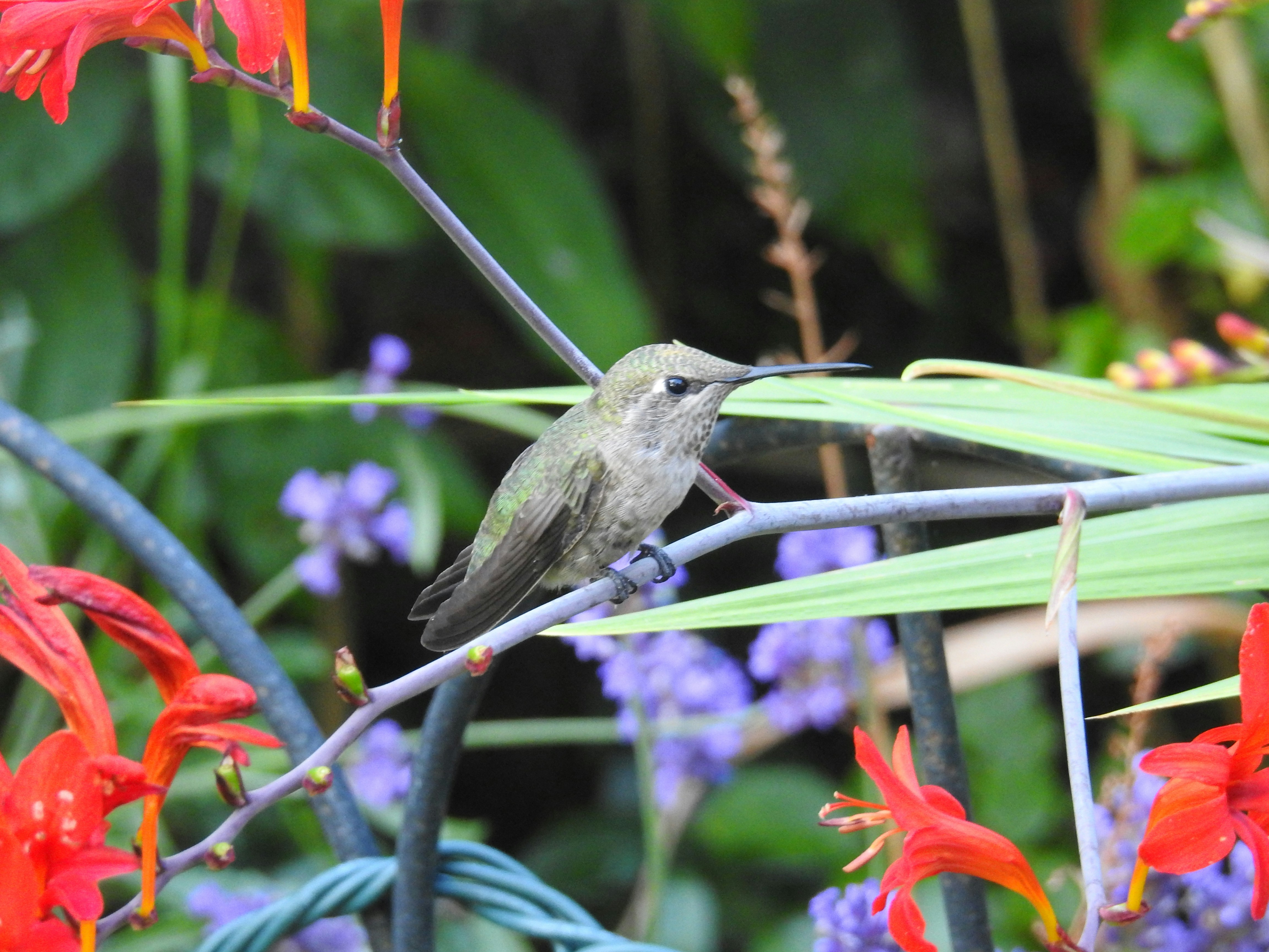 Photo by carolineashleyartist