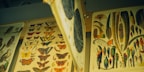 A collection of vintage scientific illustration posters featuring detailed depictions of various butterflies, birds, and feathers mounted on a wall. The images include vibrant colors and intricate patterns showcasing natural history art.