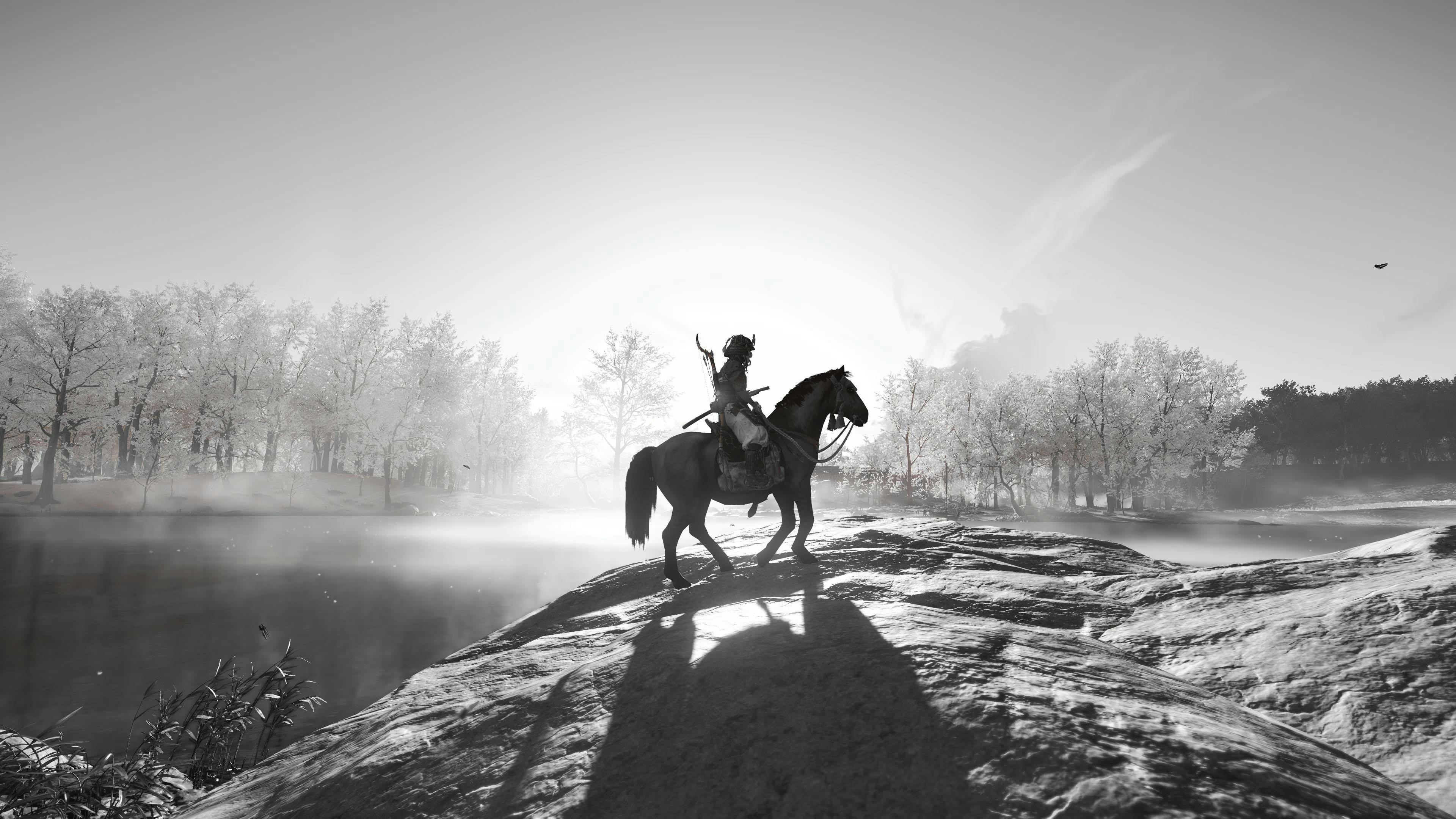 a person riding on the back of a horse