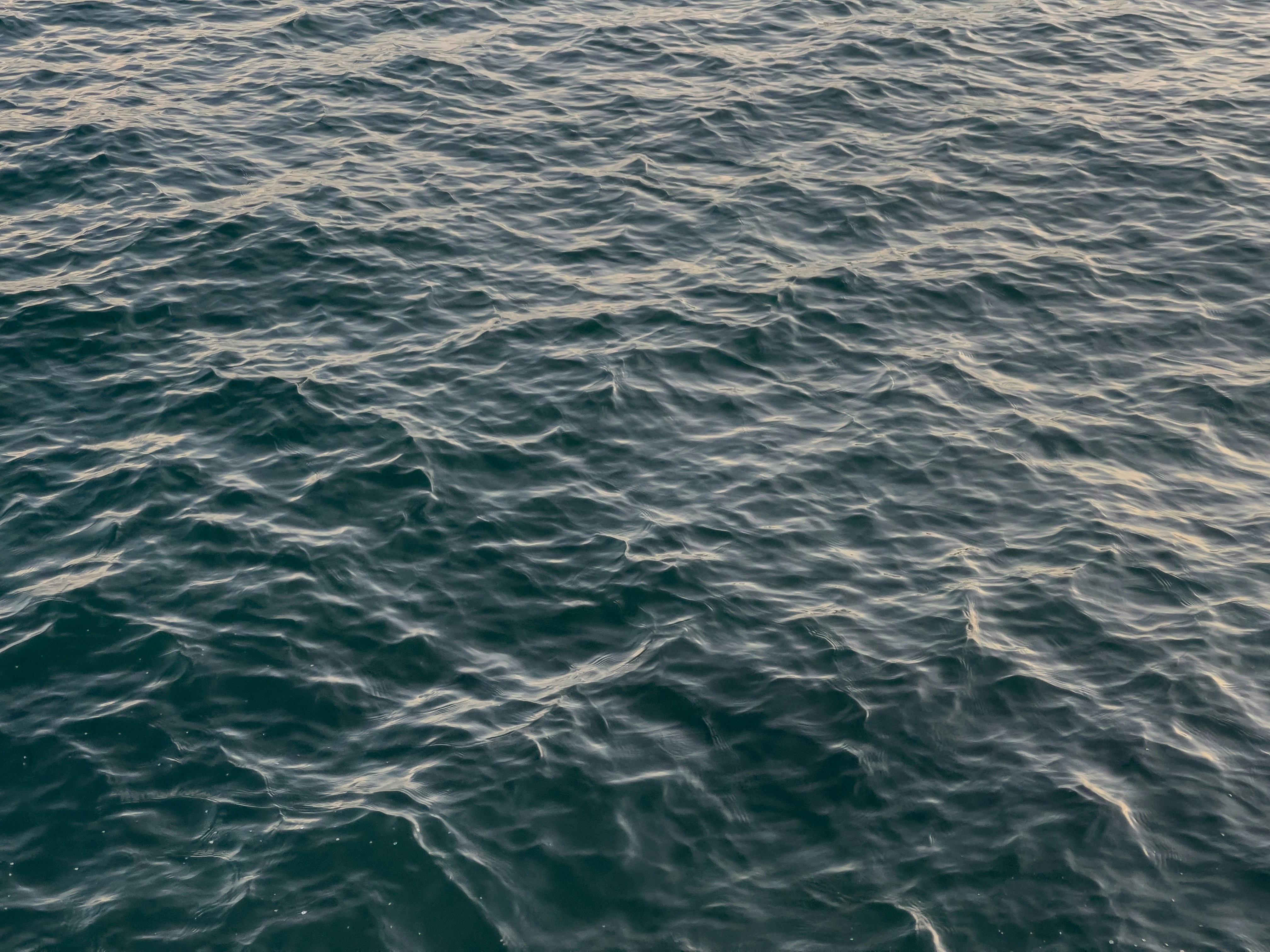 Photo by andallthings