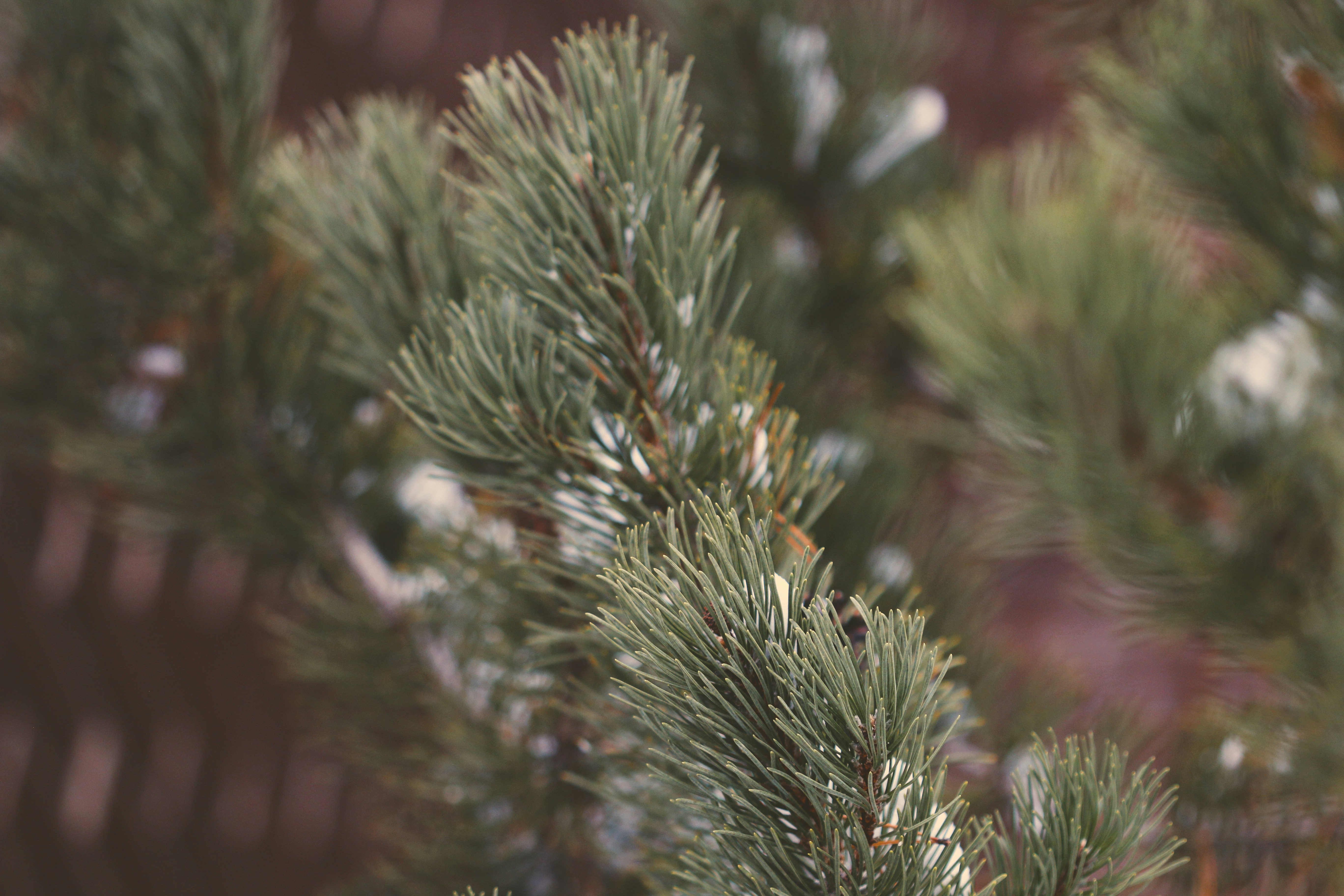 Photo by photo_tanbir