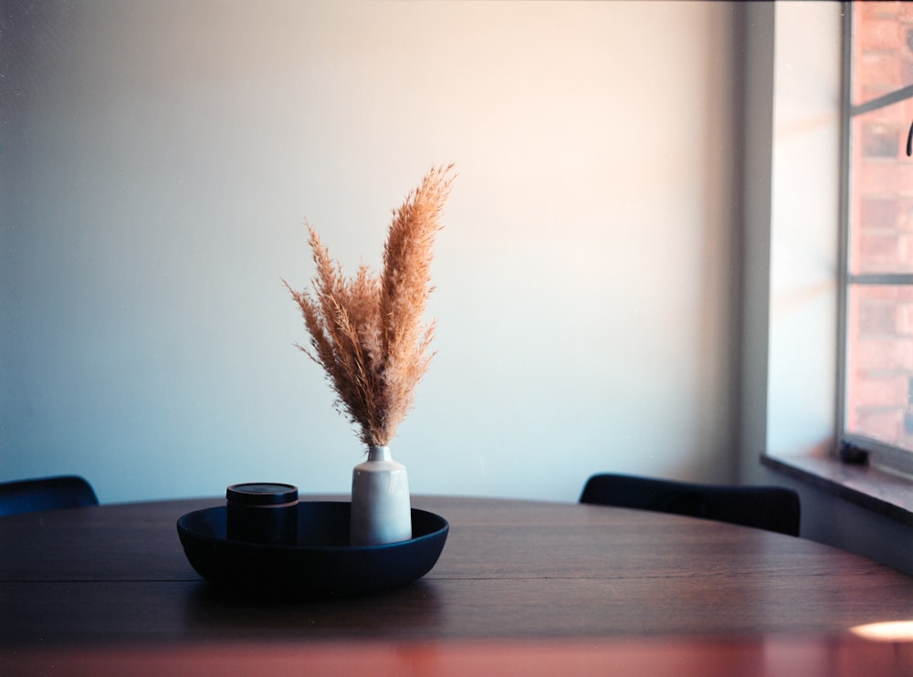 ein Tisch mit einer Vase mit einer Pflanze darin