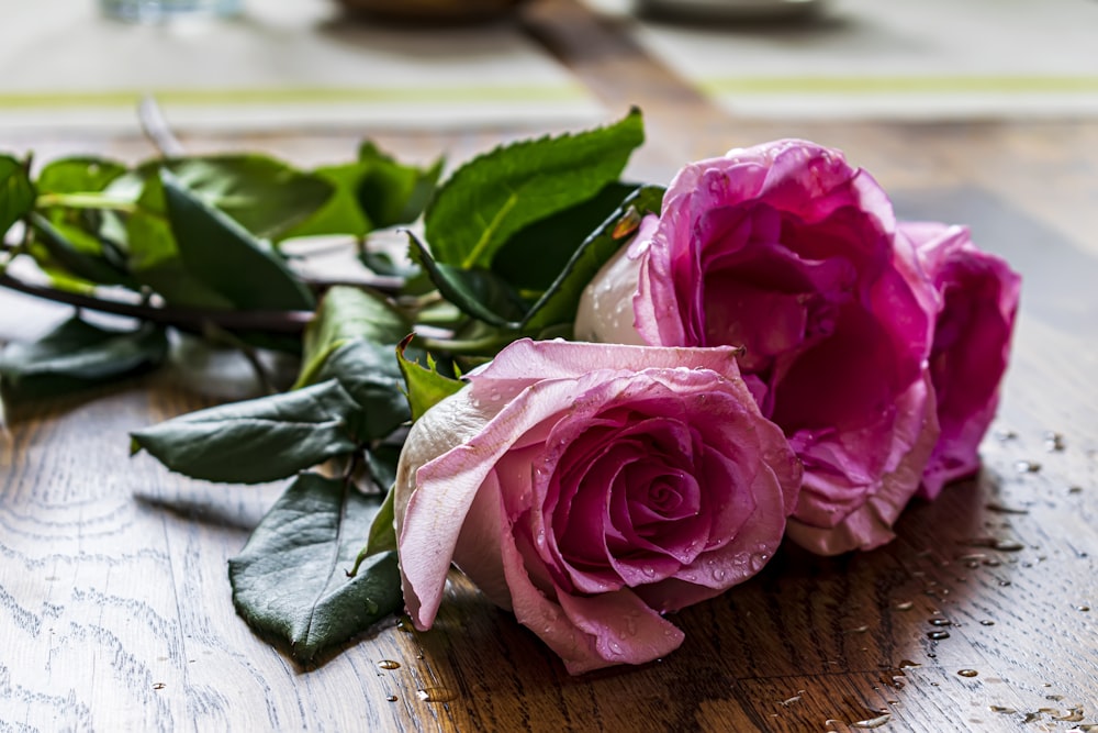 a couple of pink roses sitting on top of a wooden table
