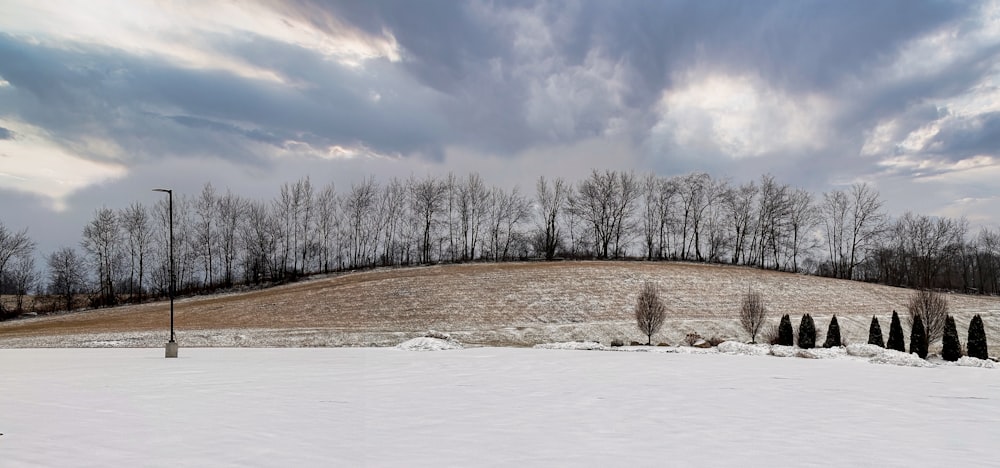a snow covered field with trees and a hill in the background