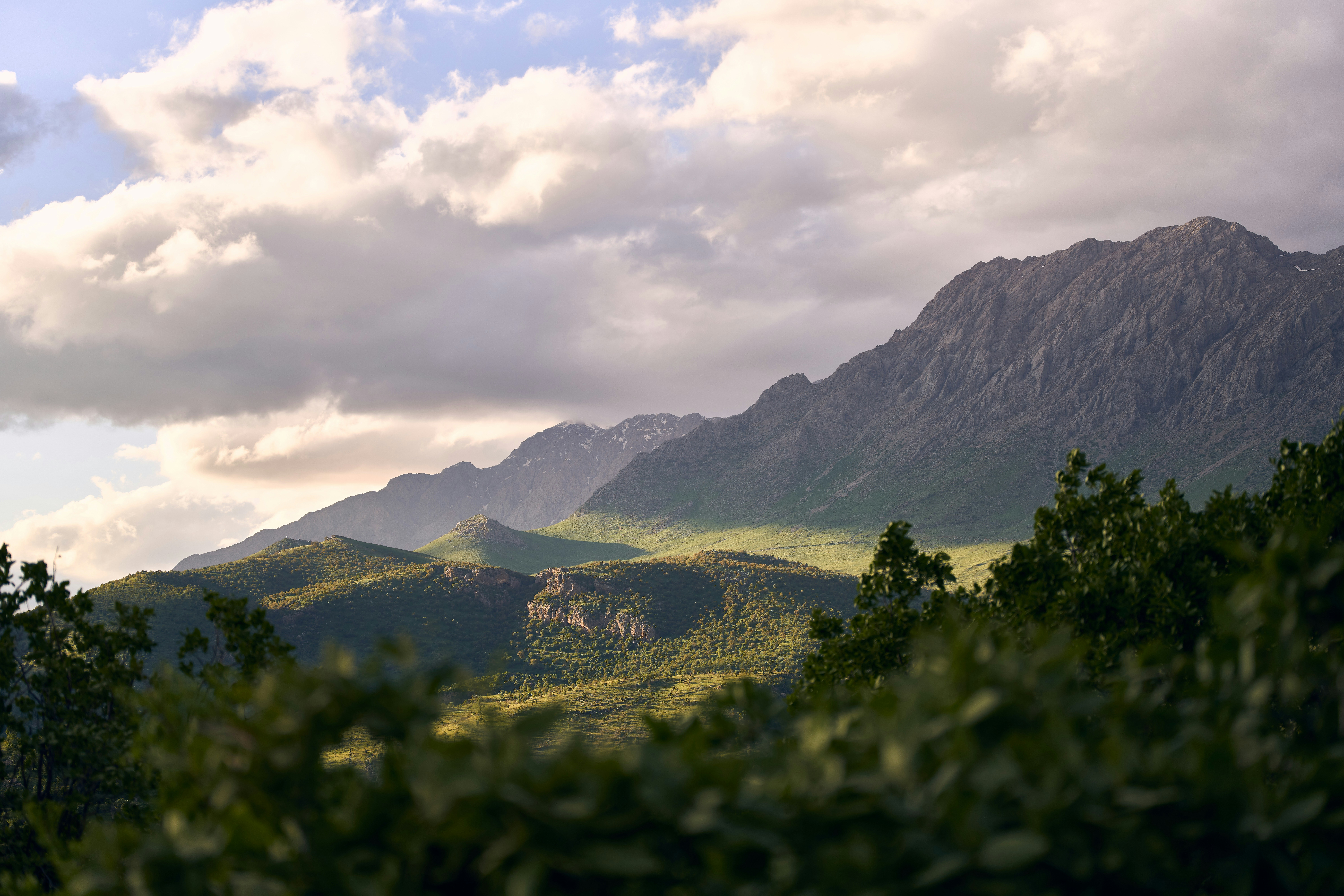 Photo by arianmontazeri