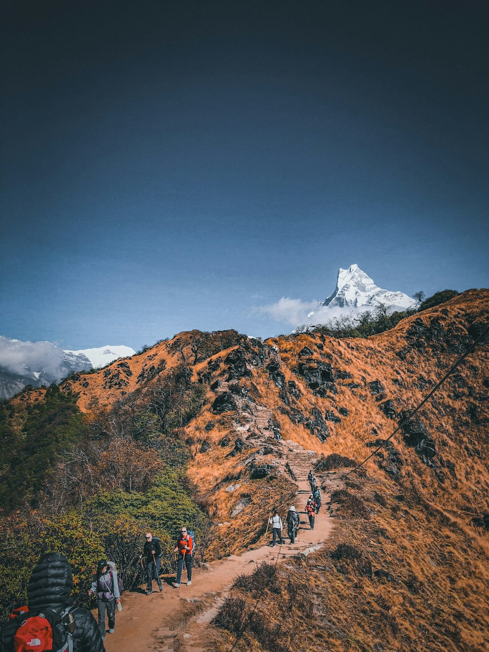 a group of people hiking up a hill
