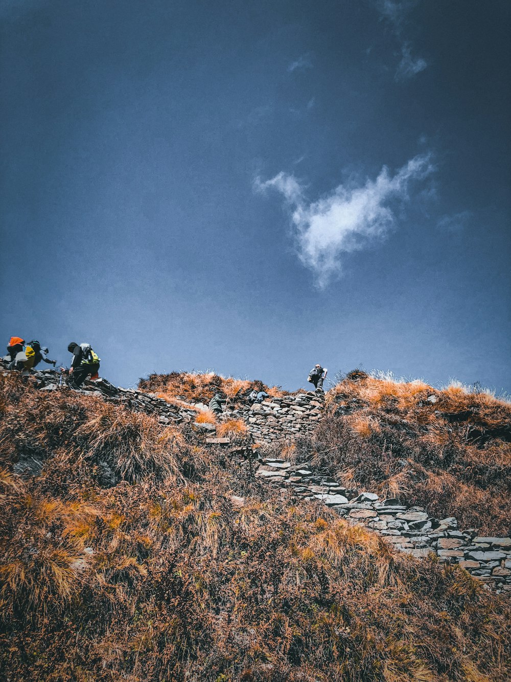 a group of people climbing up a hill