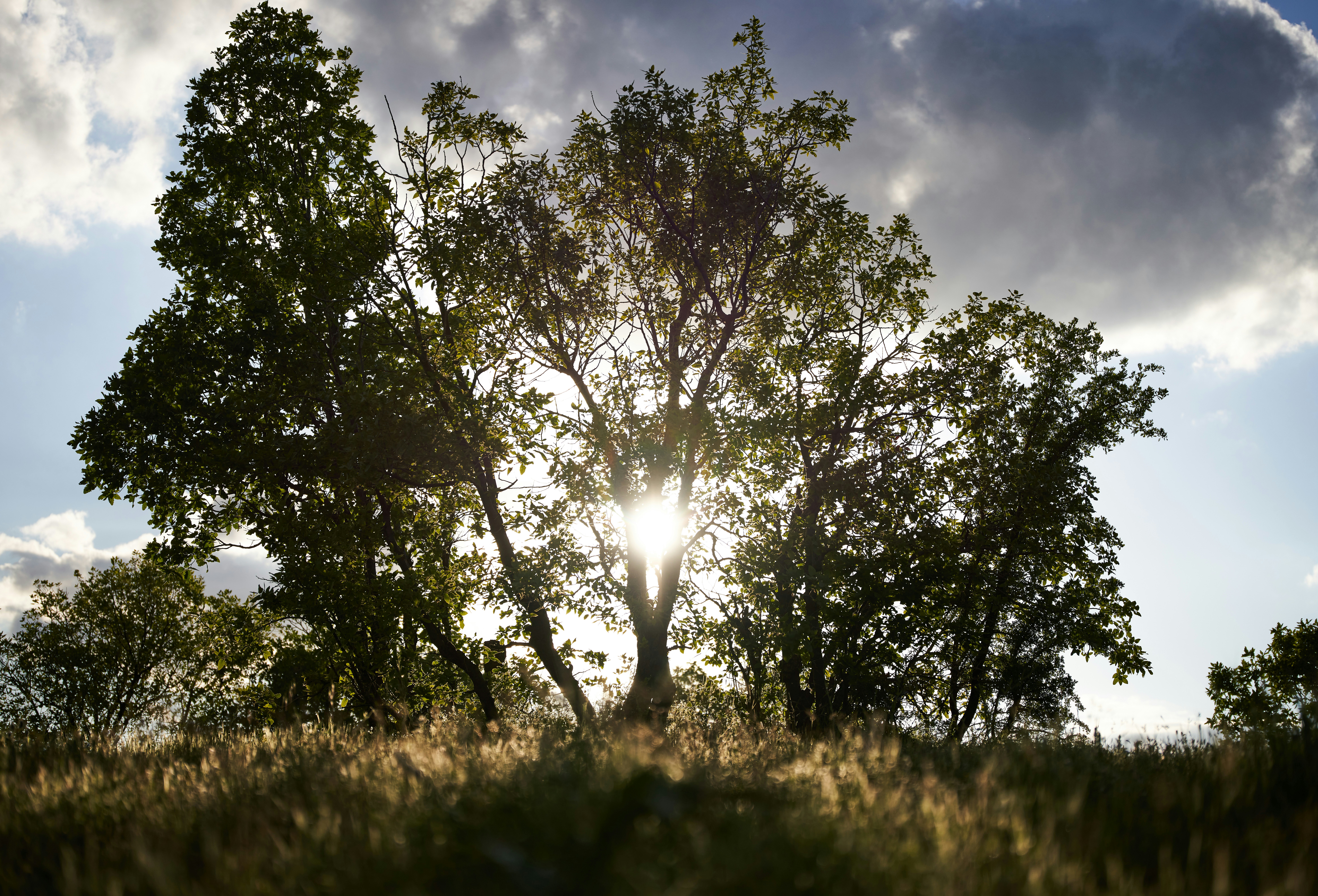 Photo by arianmontazeri