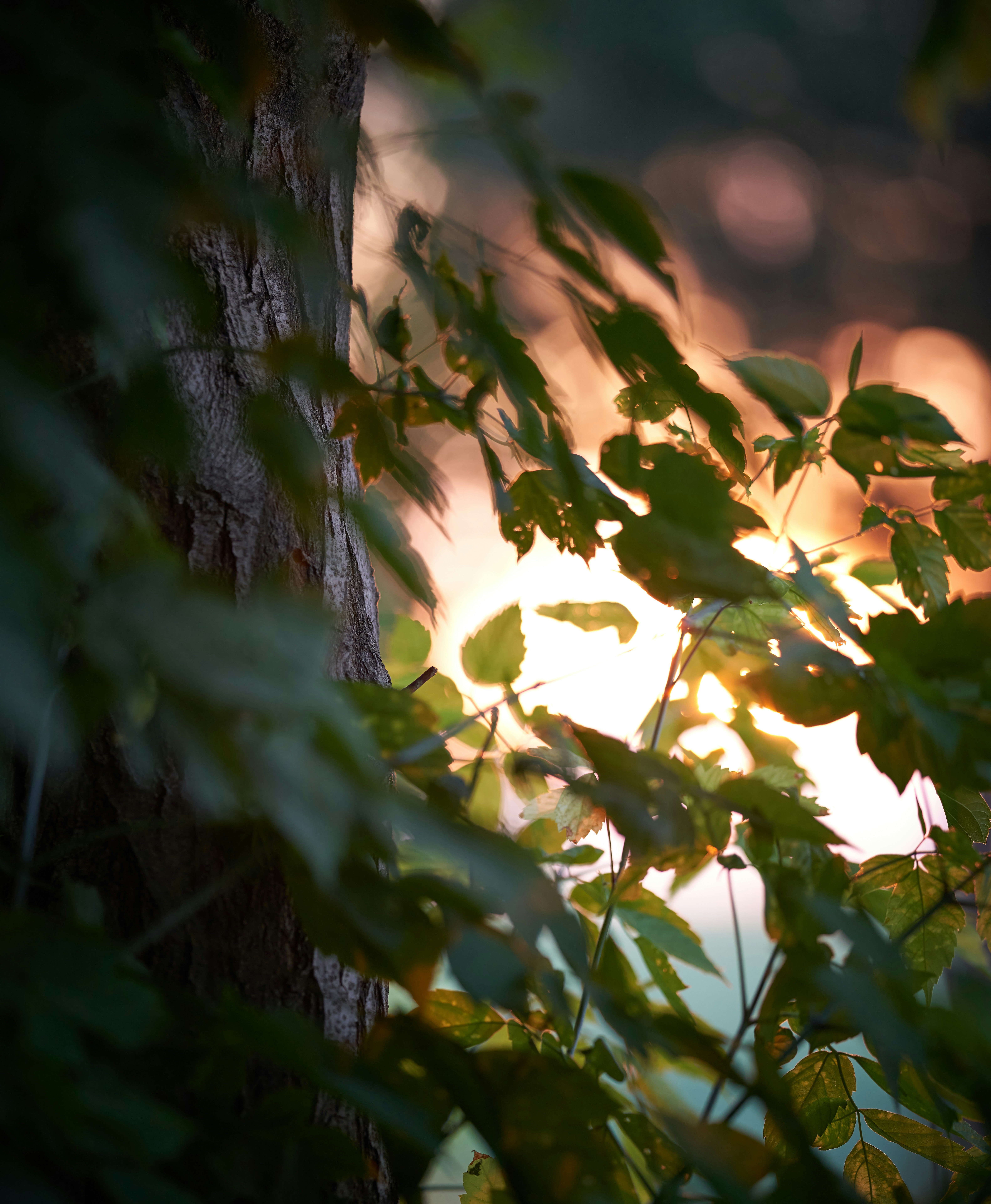 Photo by arianmontazeri