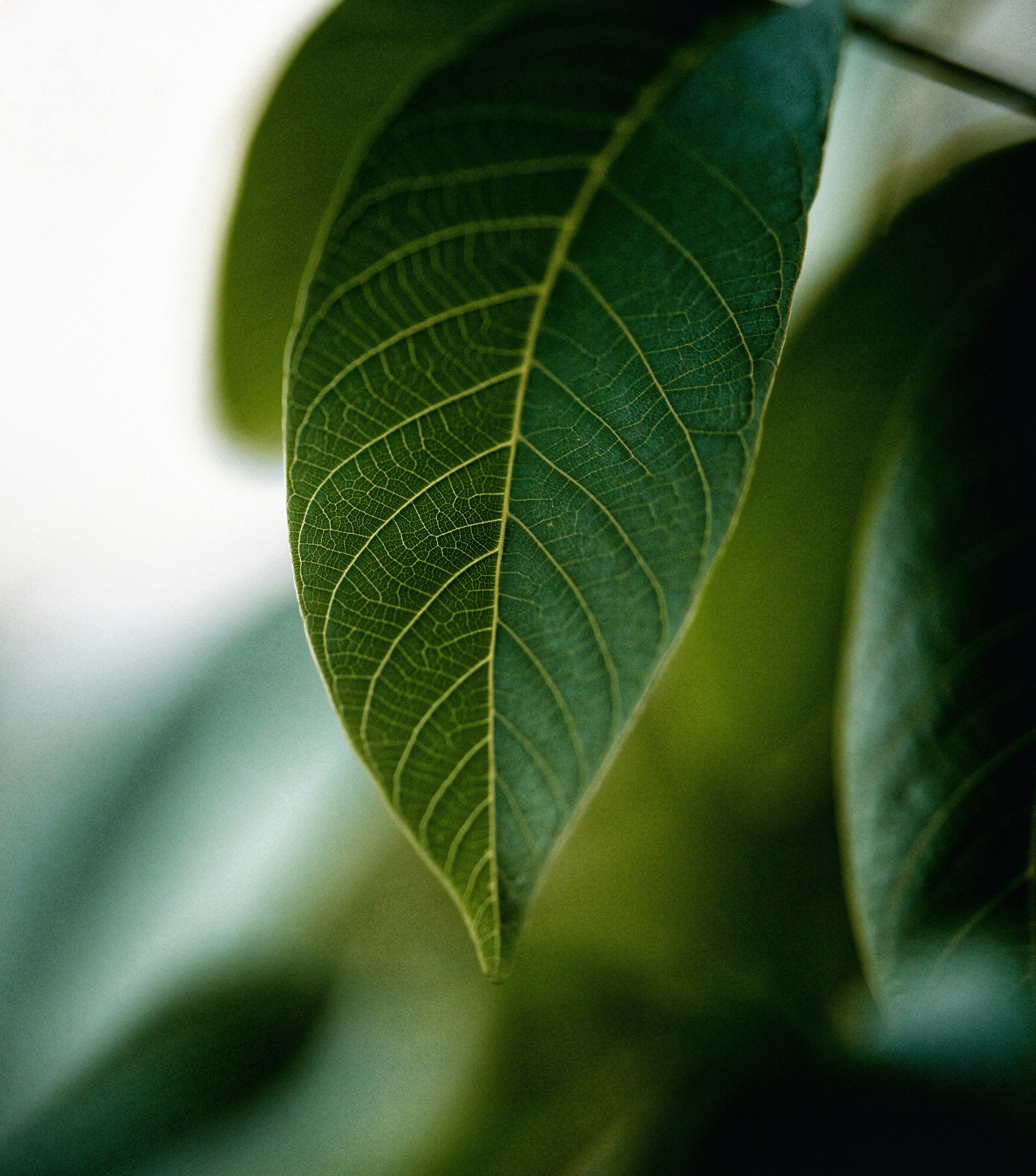 Photo by arianmontazeri