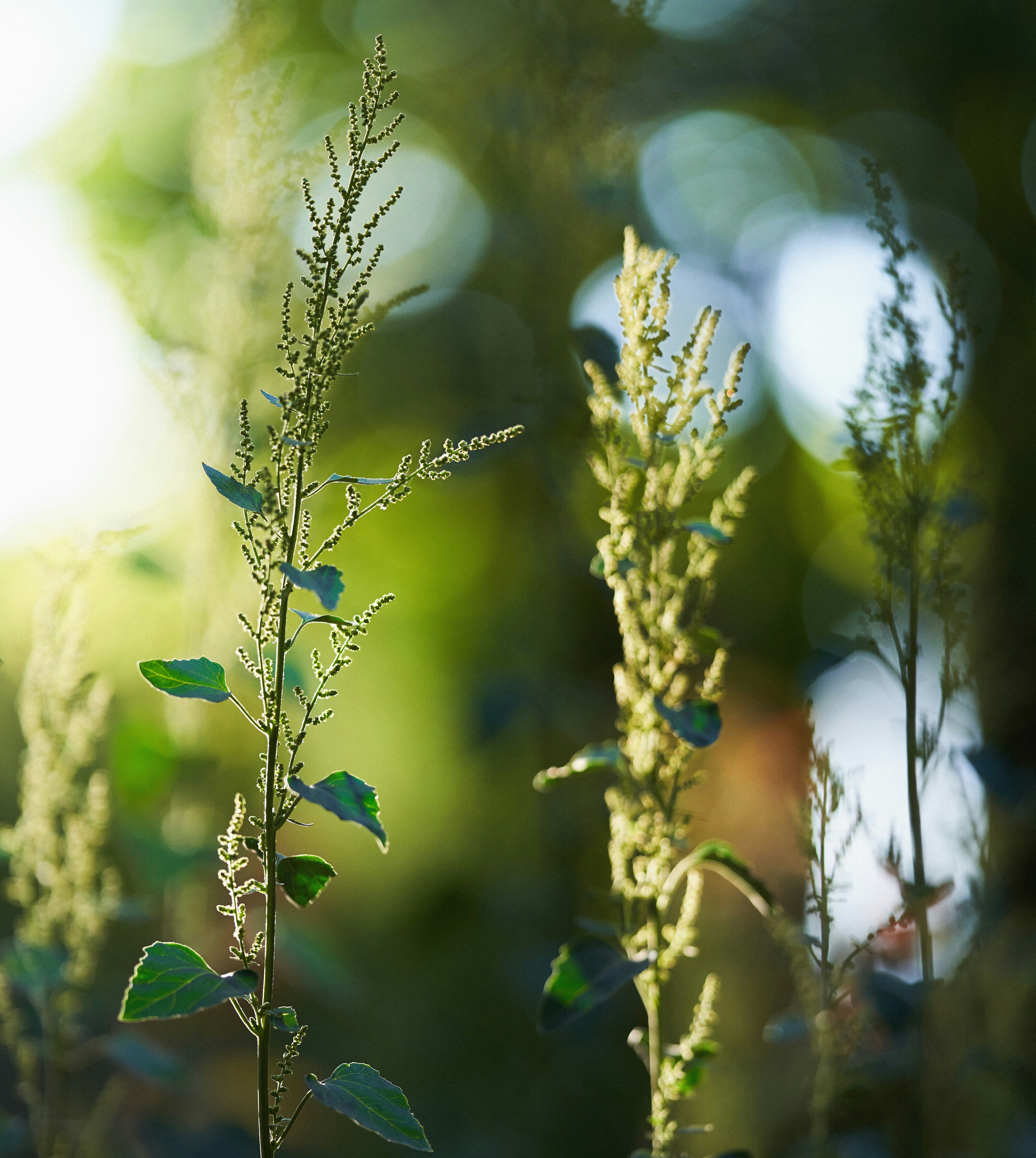 Photo by arianmontazeri