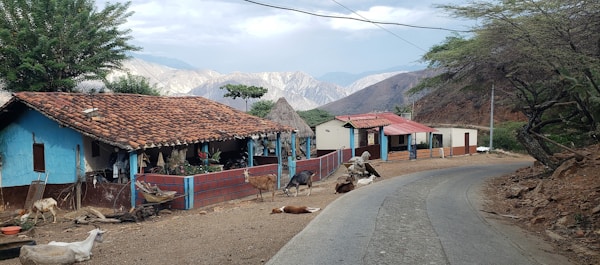 Introducing Bucaramanaga